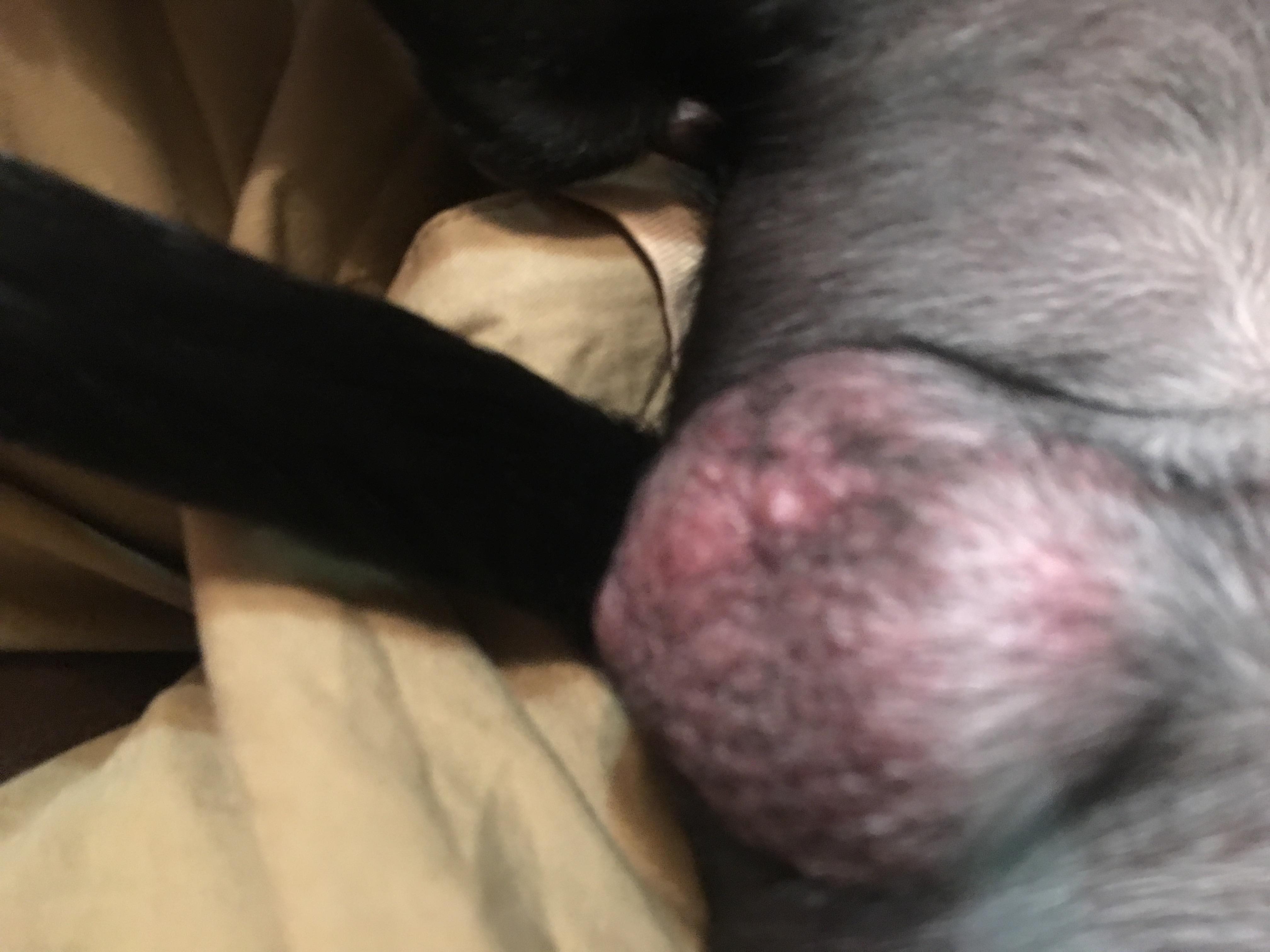 Question details sensitive content