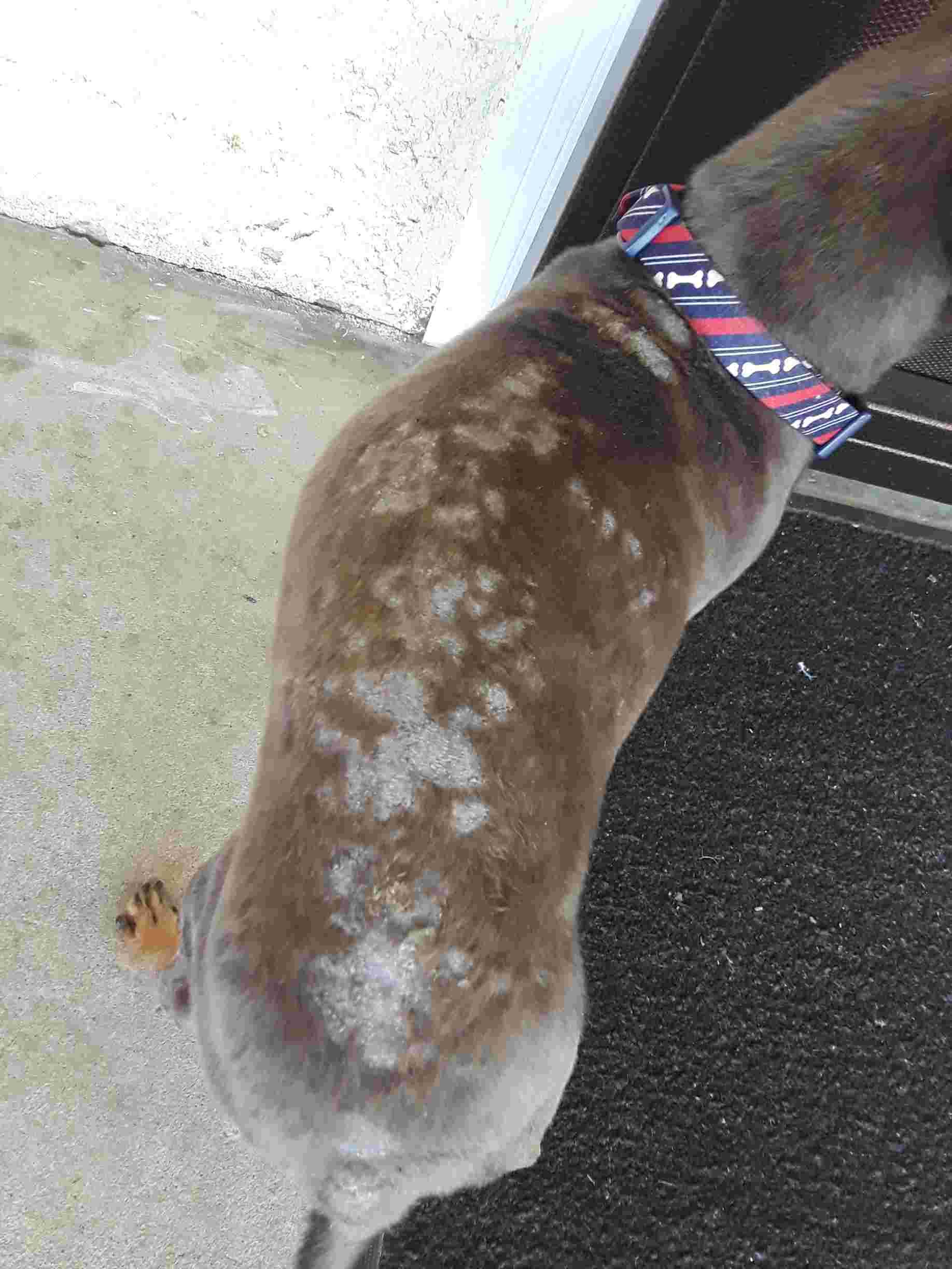 Question details sensitive content