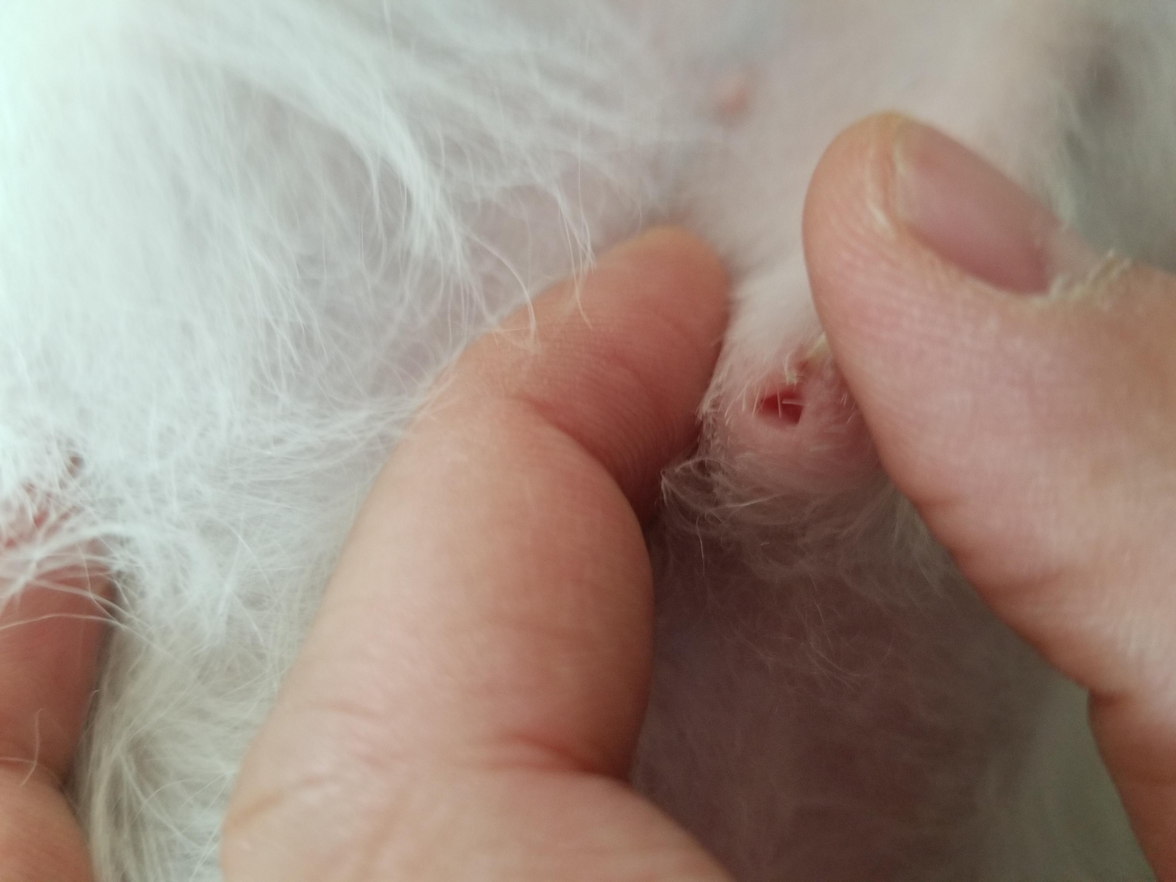 Question details sensitive content