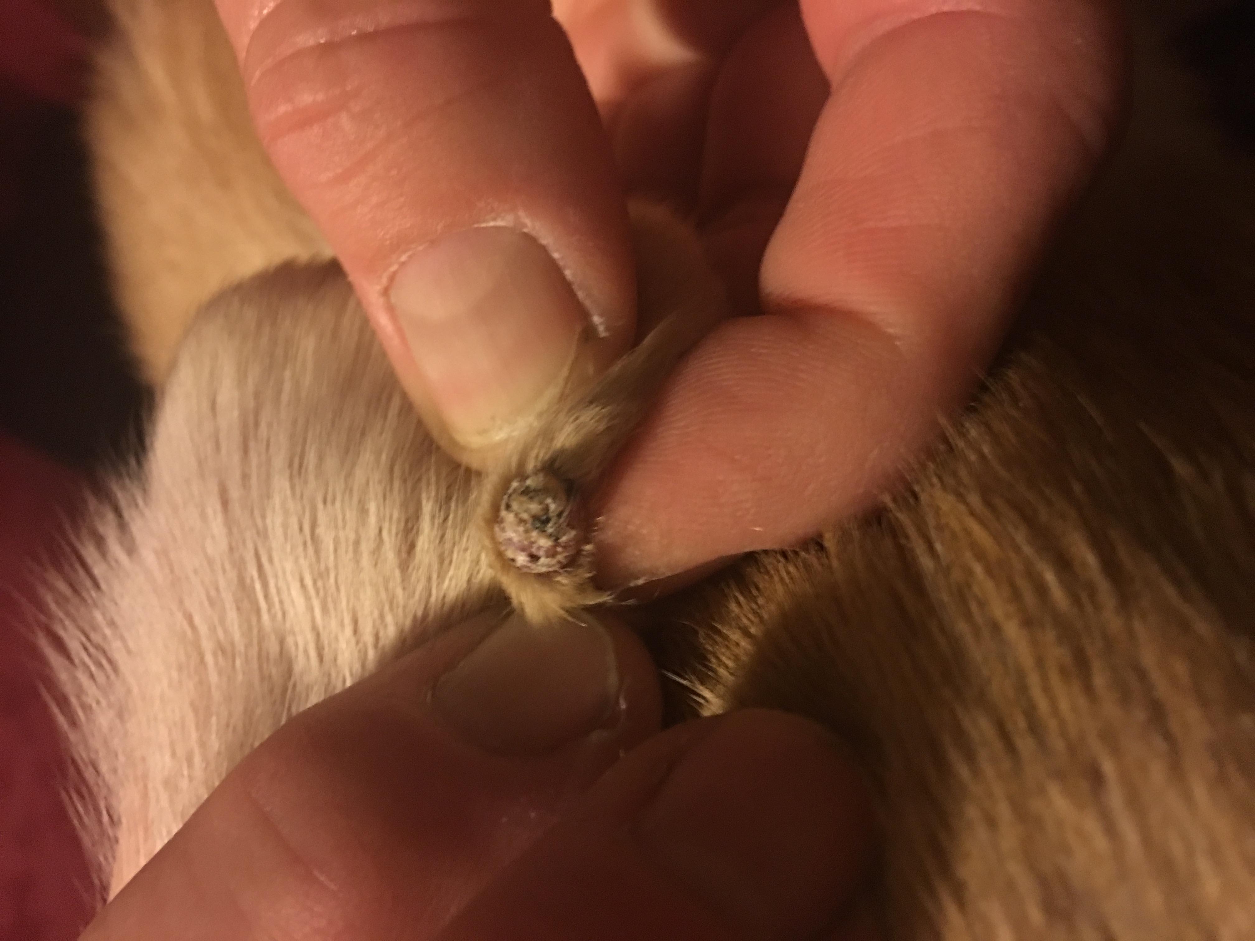 Question details sensitive content