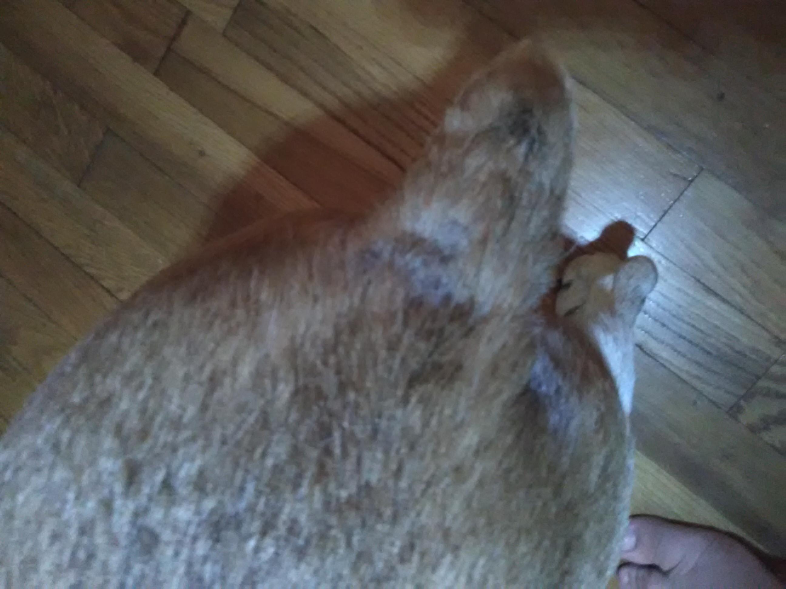 Question details sensitive content