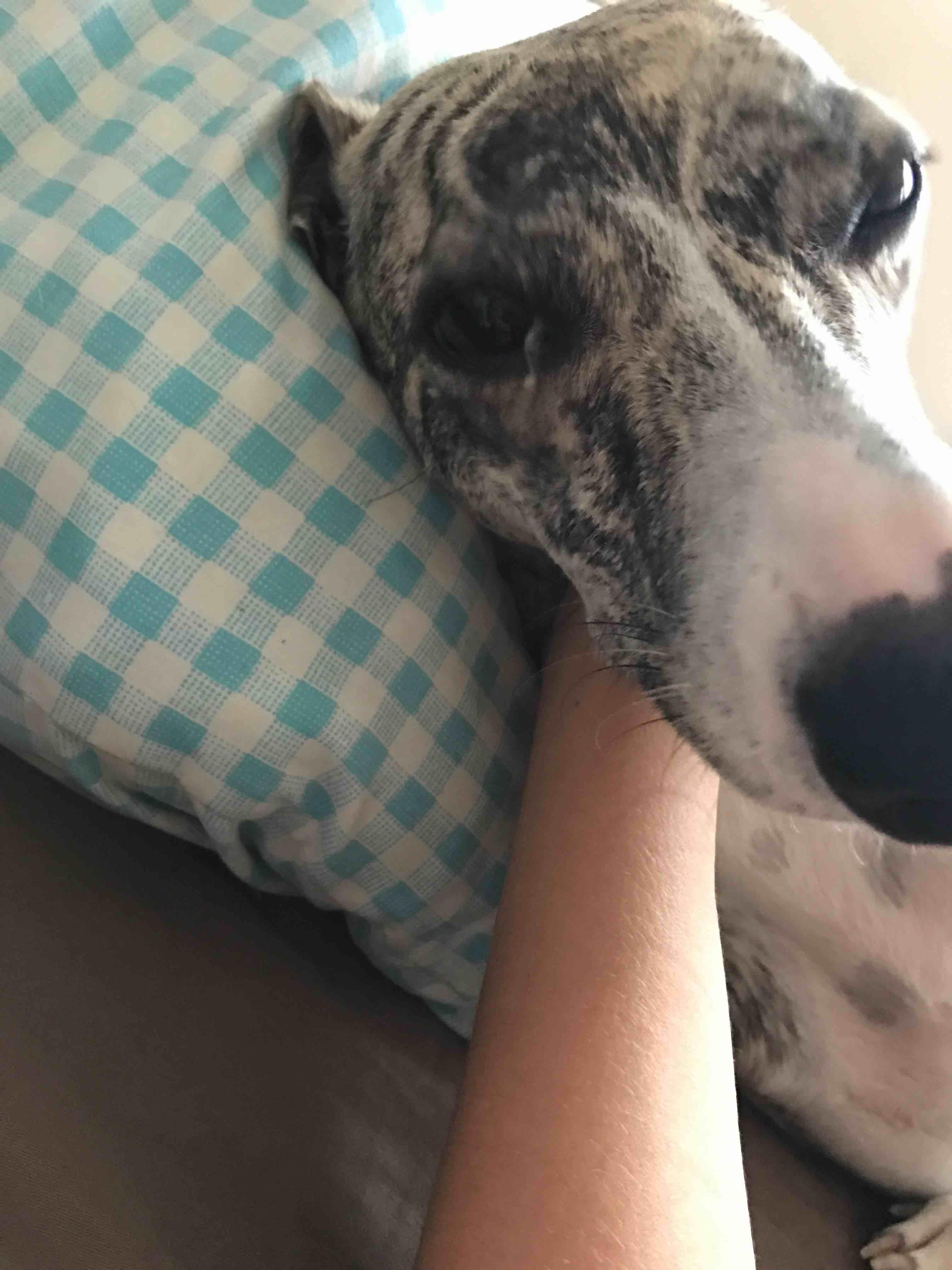 Question details sensitive content