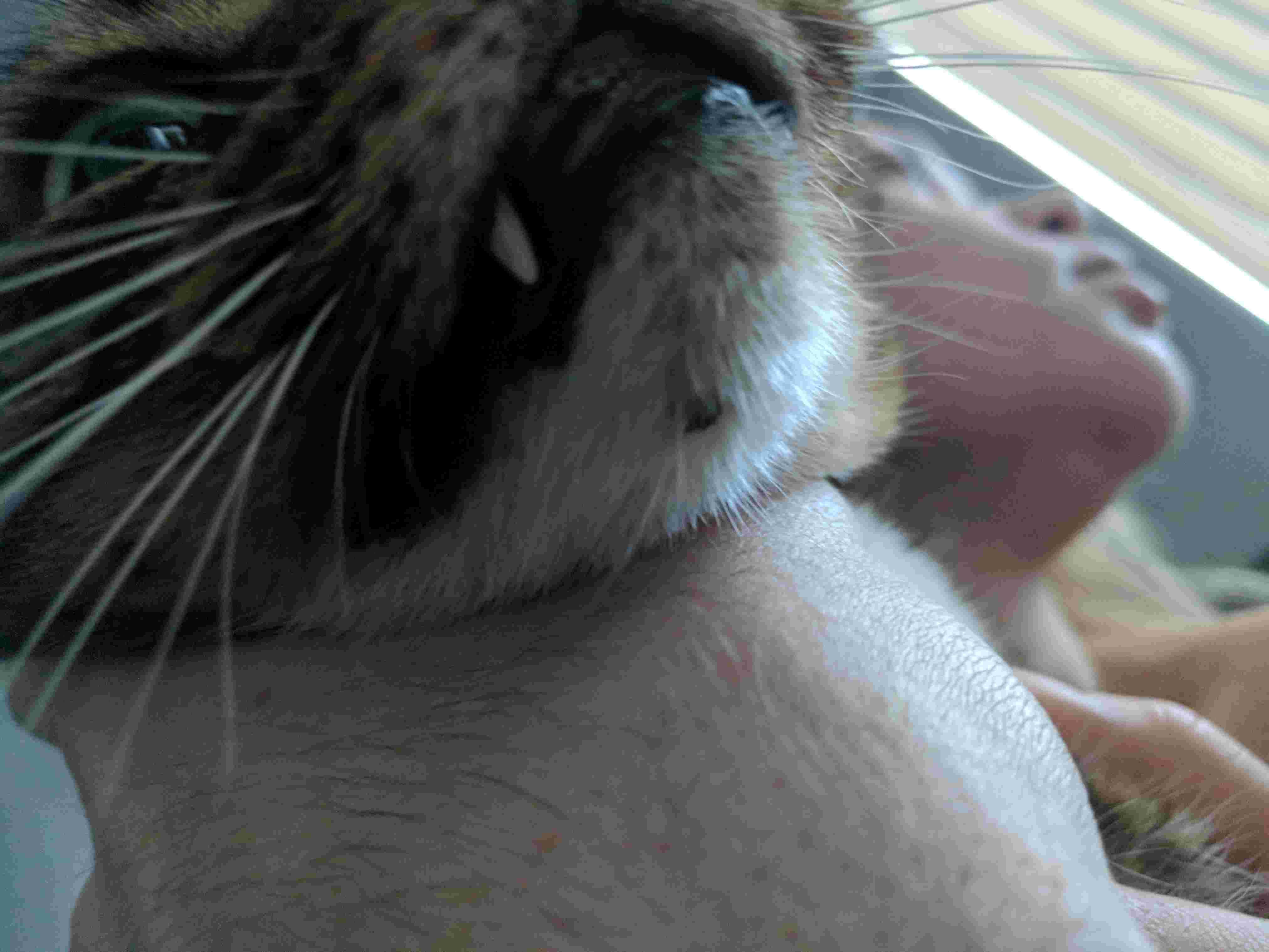 Question details sensitive content