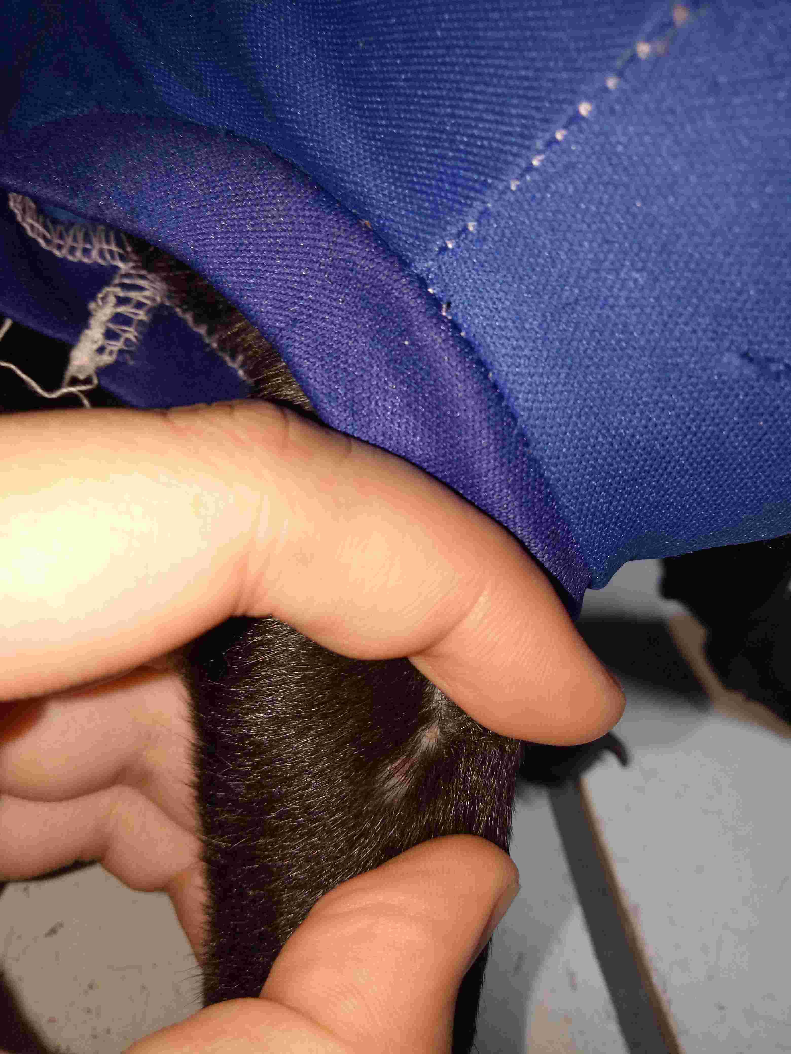 Question details sensitive content