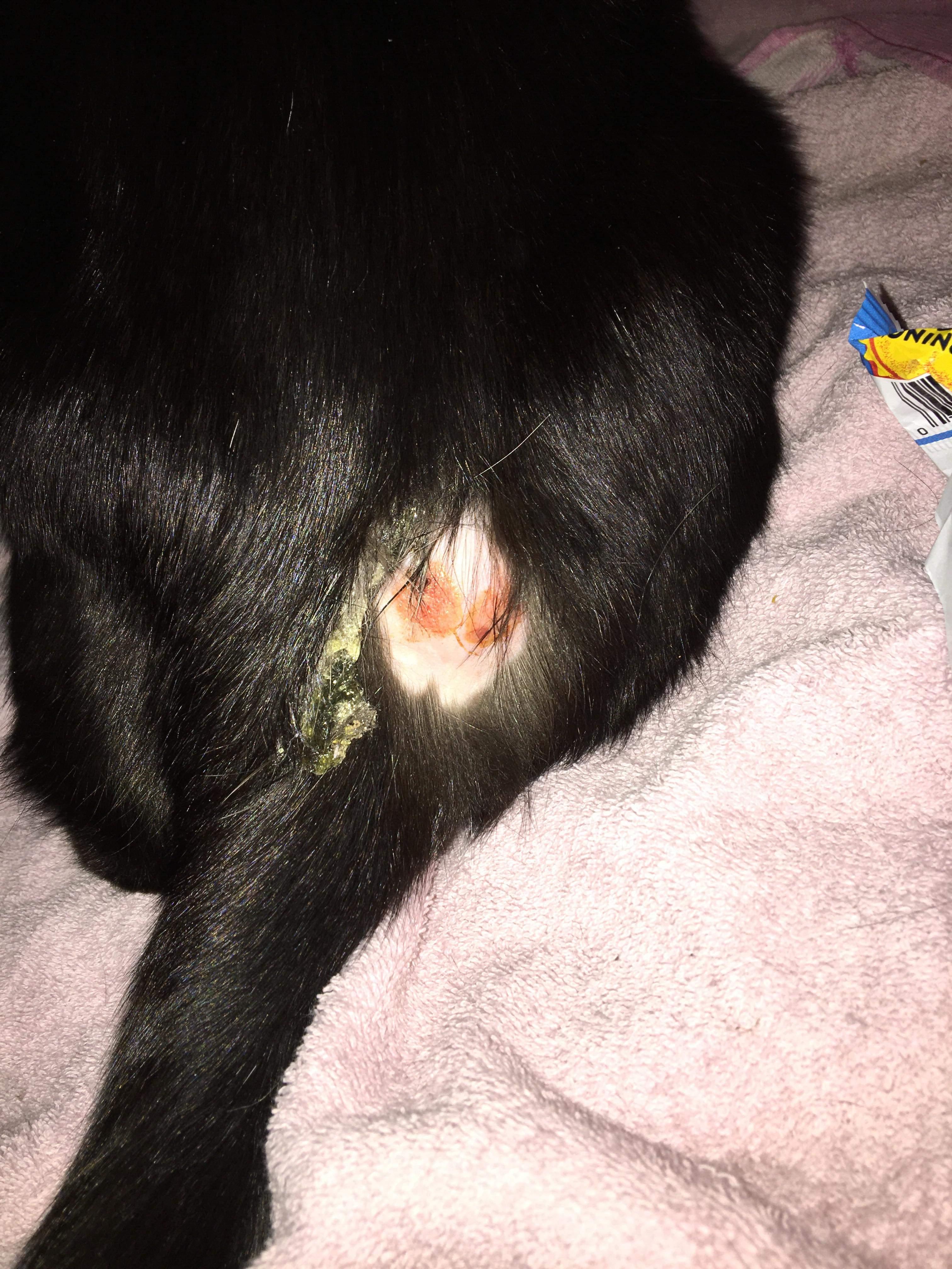 Question details sensitive content