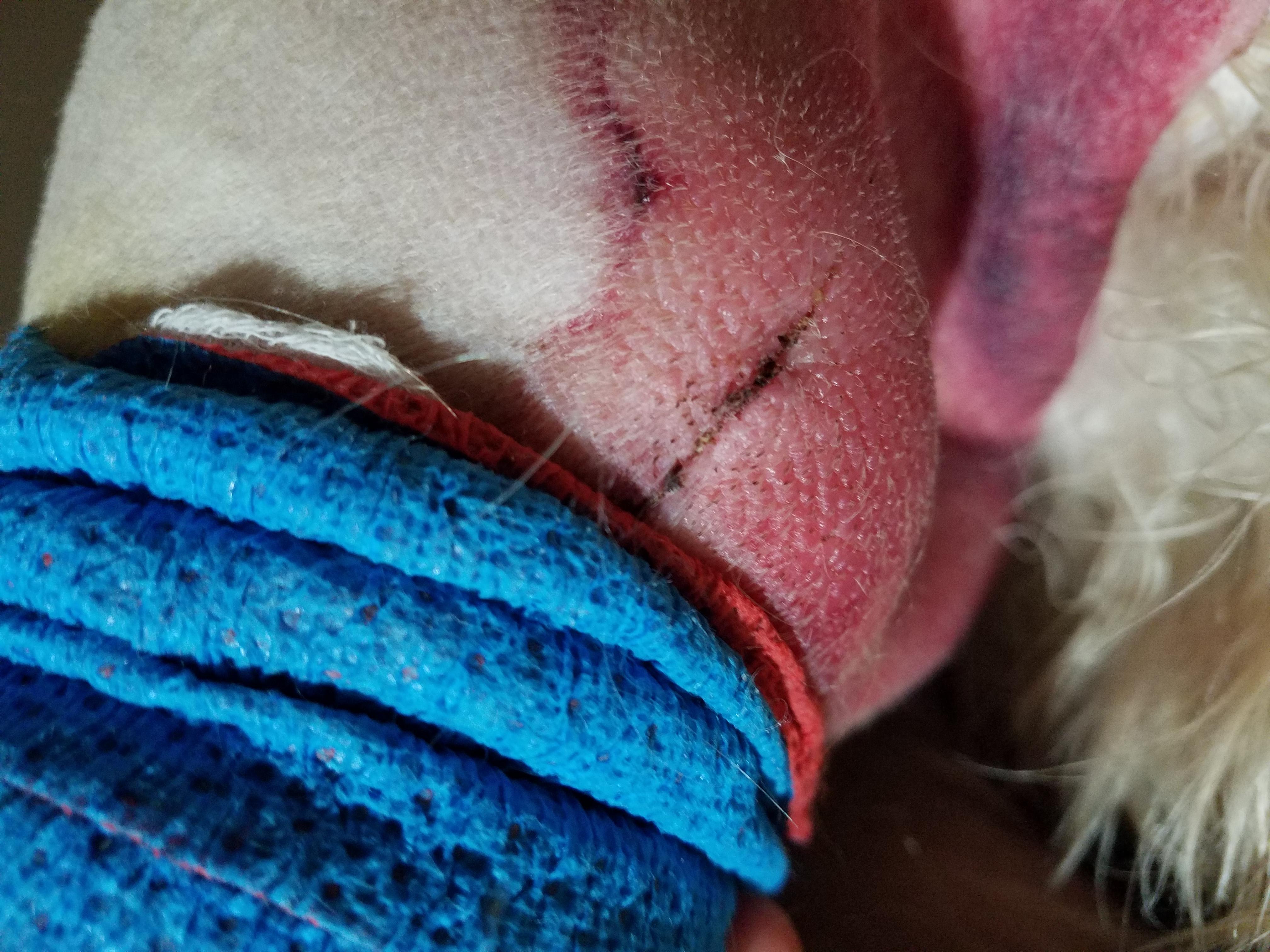 Question details sensitive content