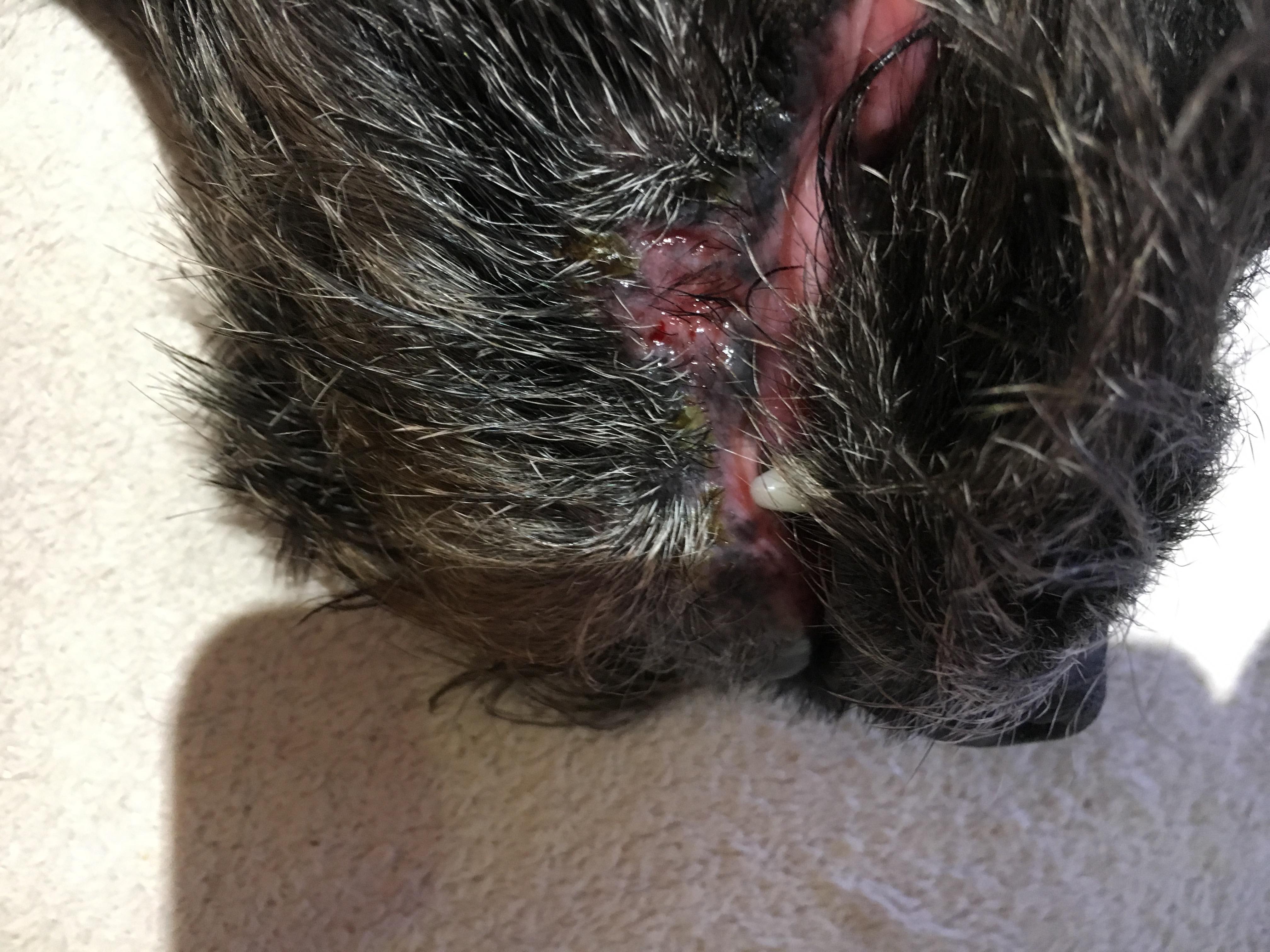 Question details sensitive content