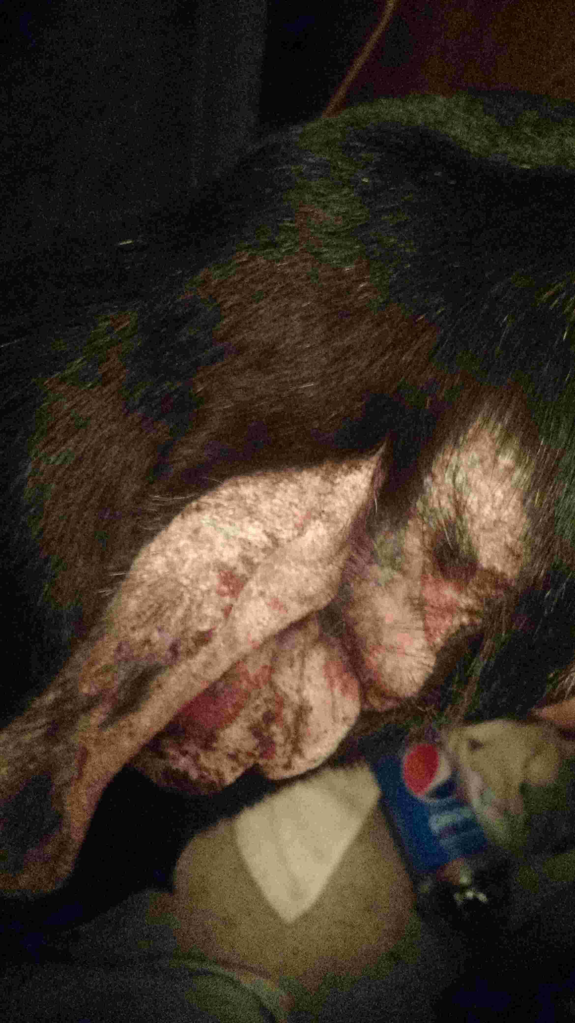 Question details sensitive content