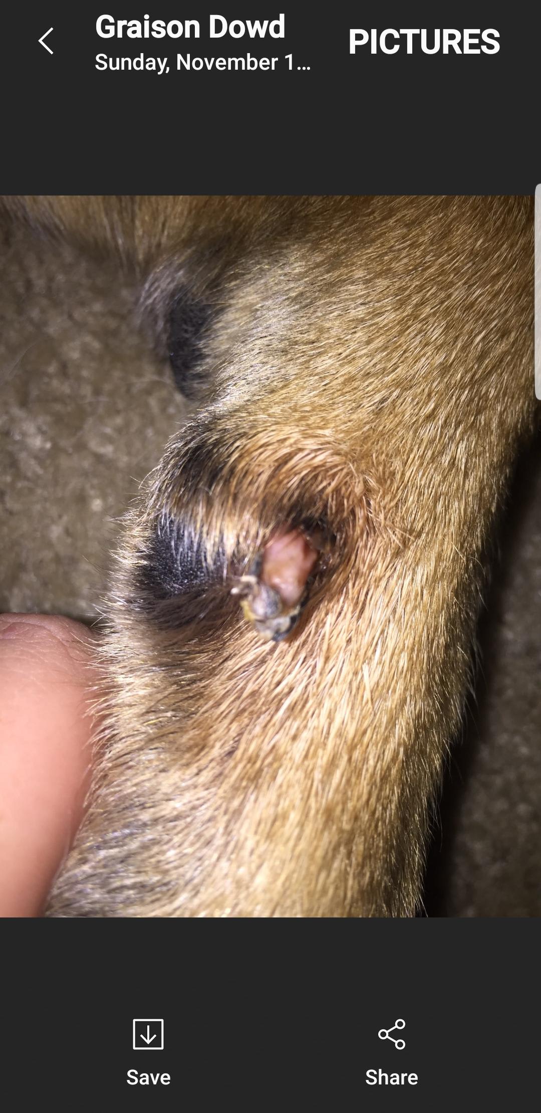 Question details sensitive content