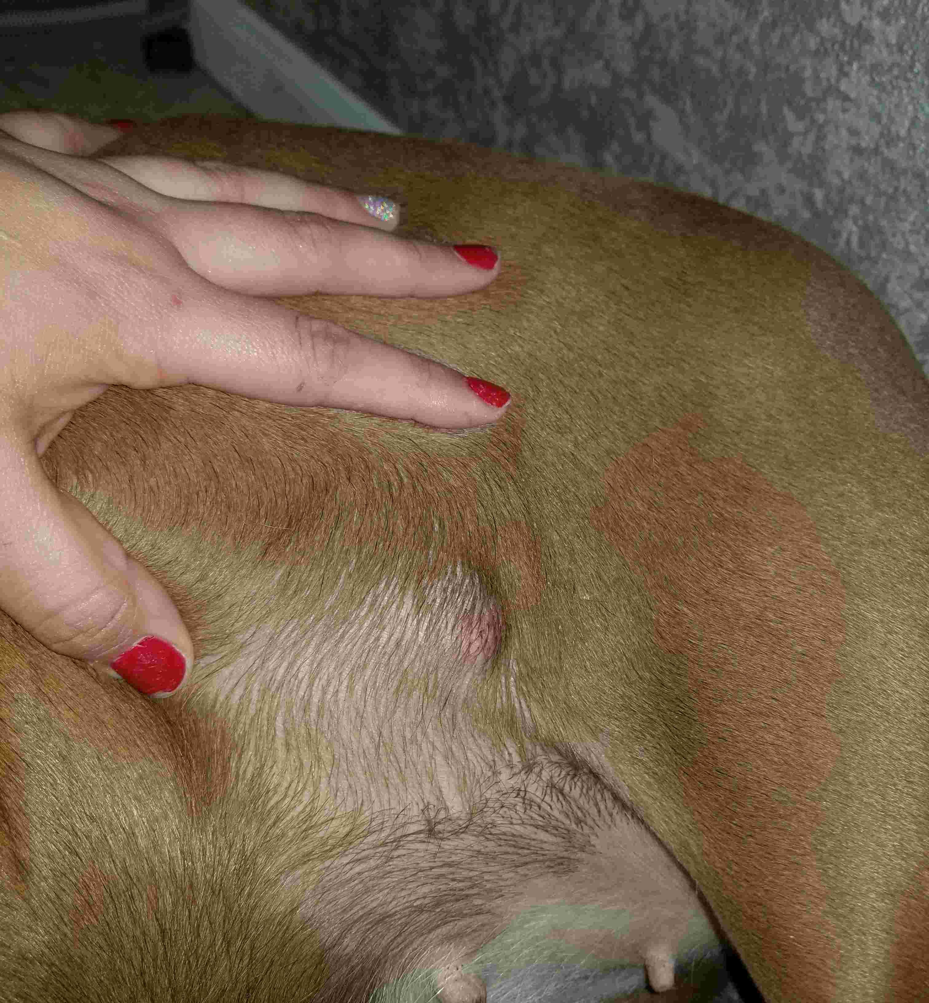 Question details sensitive content