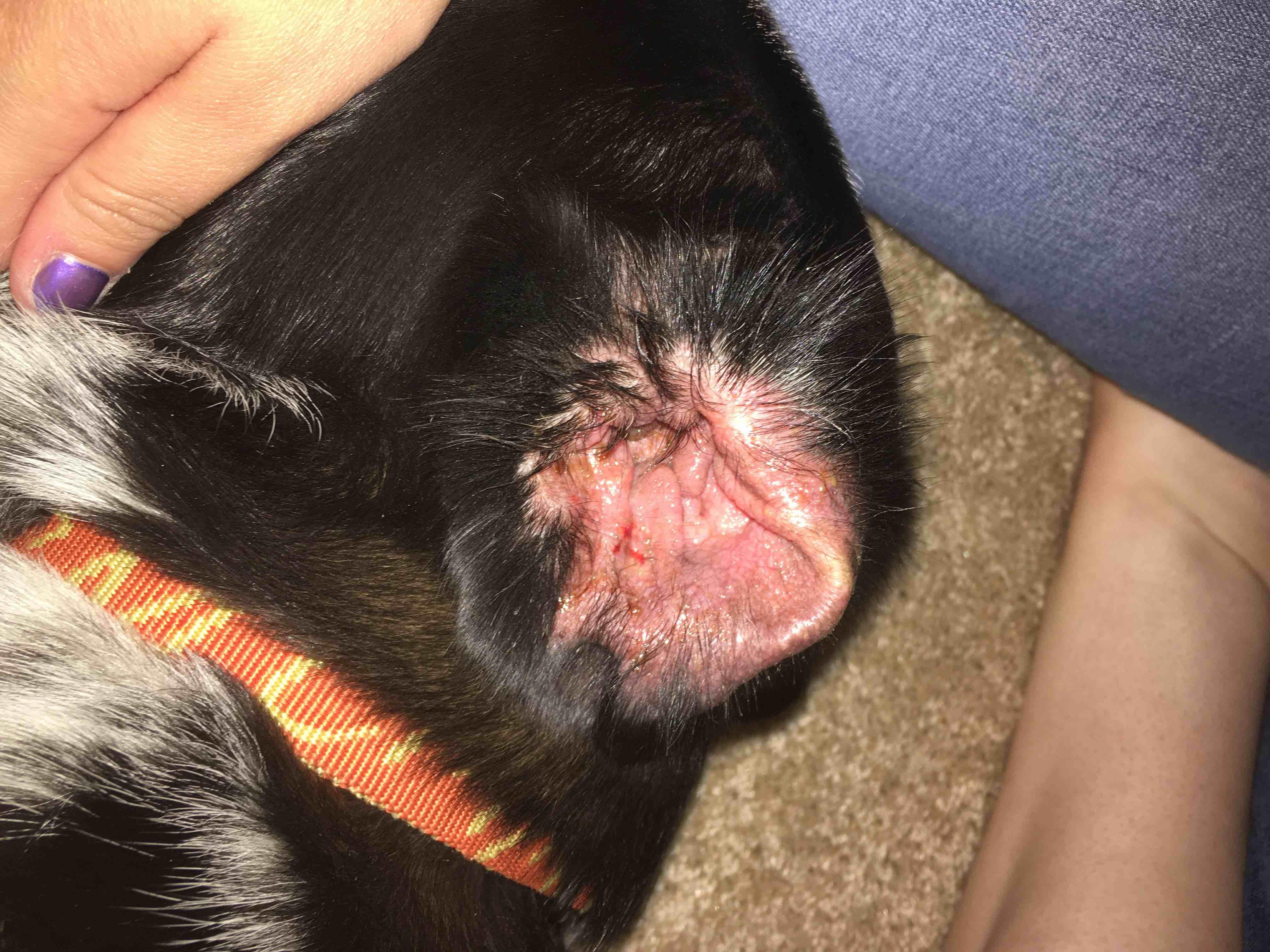 Question details sensitive content