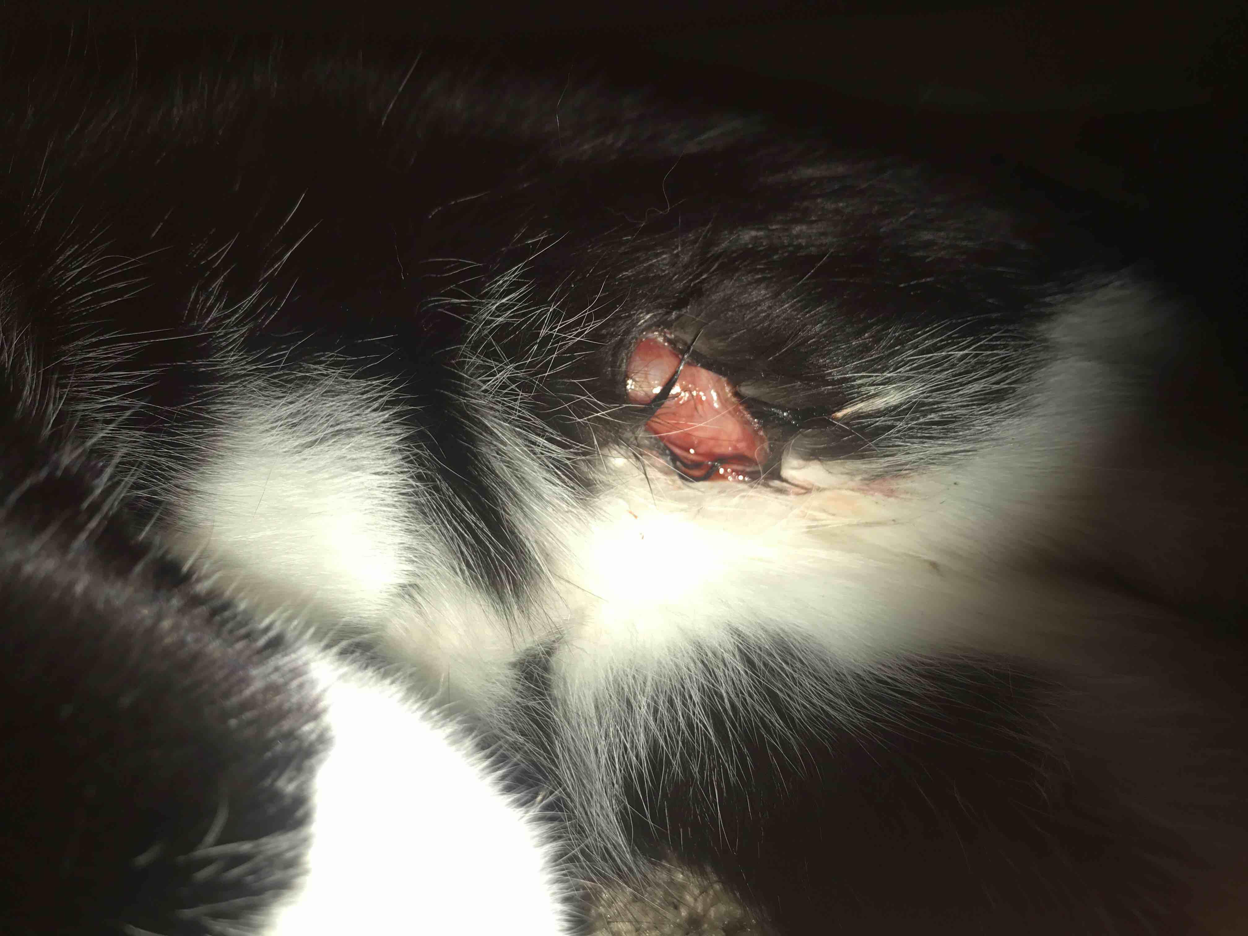 Question details sensitive content