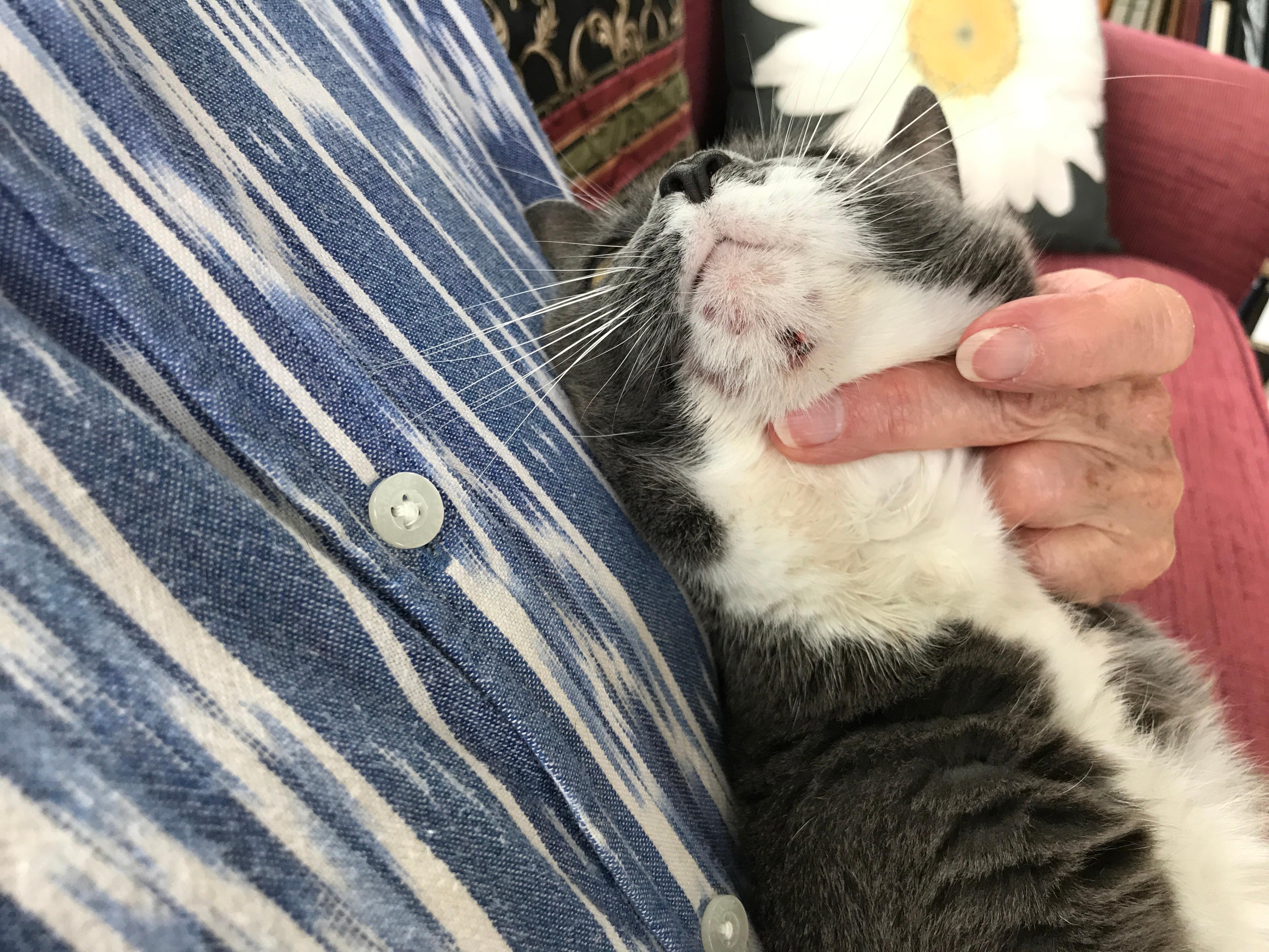 Question details sensitive content