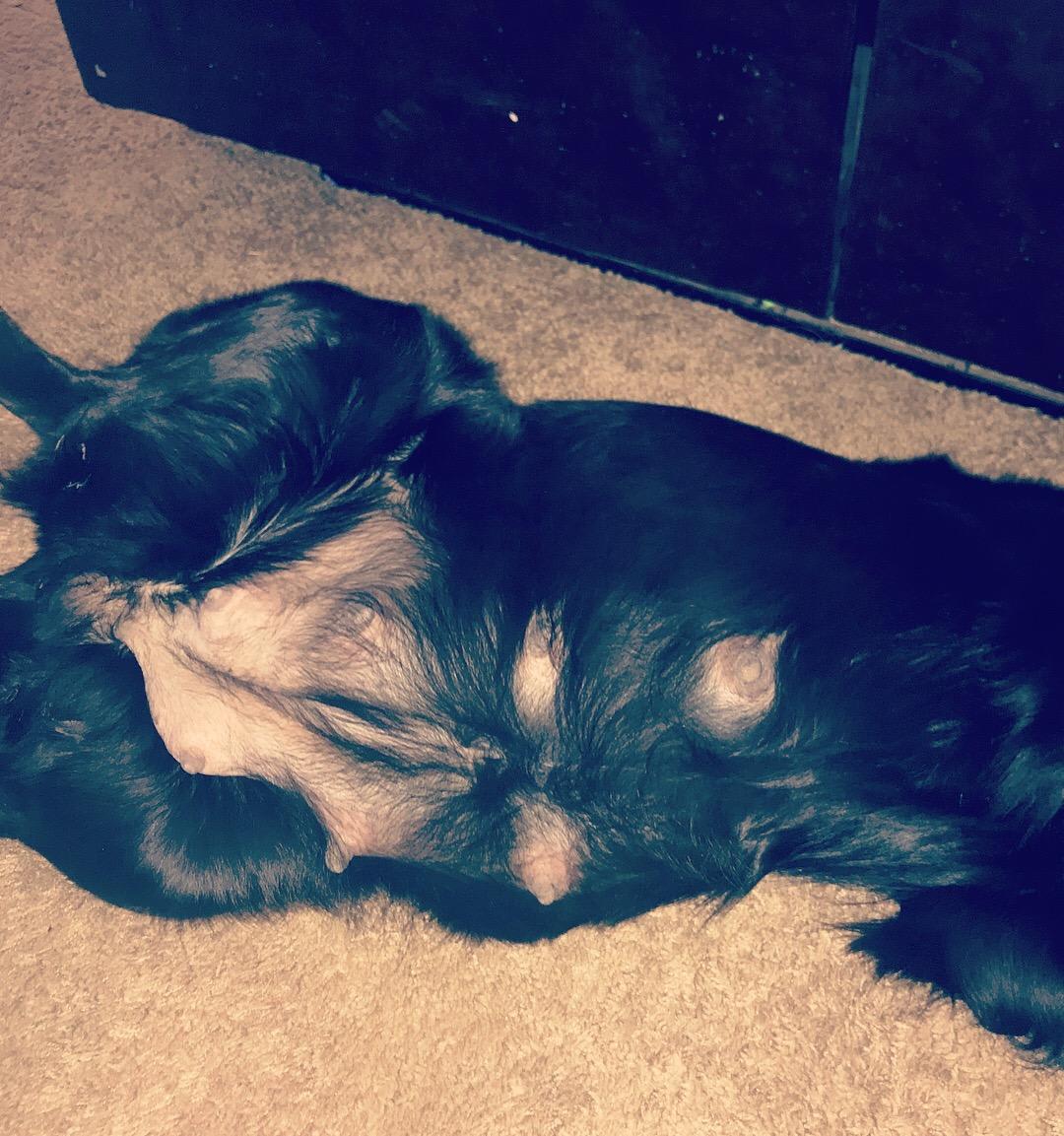 Question details sensitive content