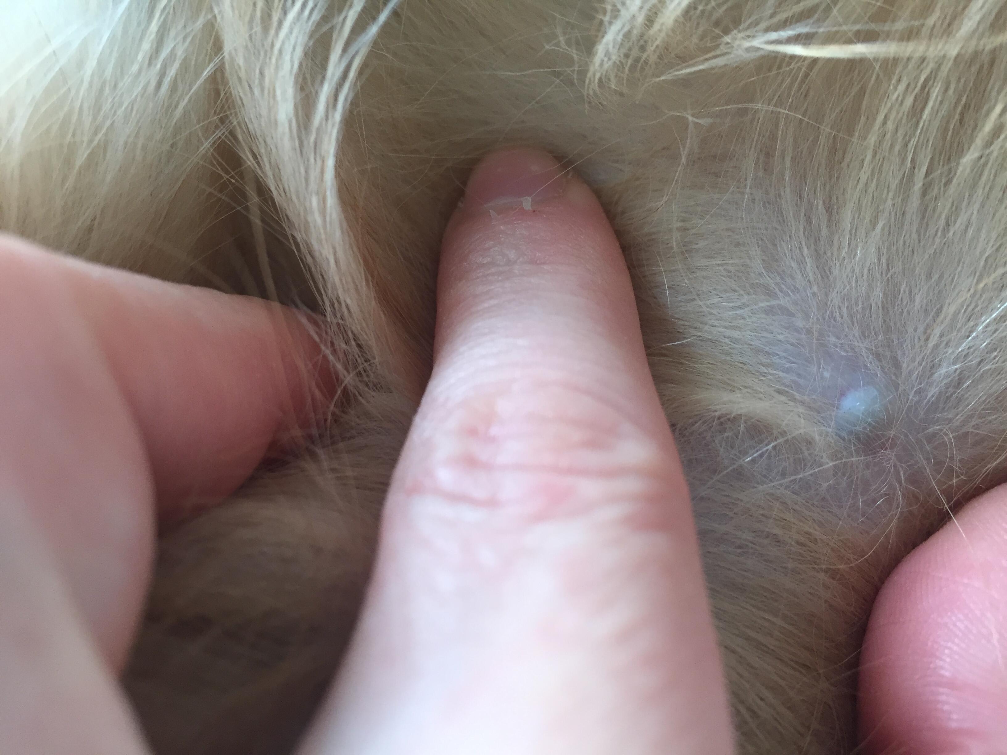 Question details sensitive content