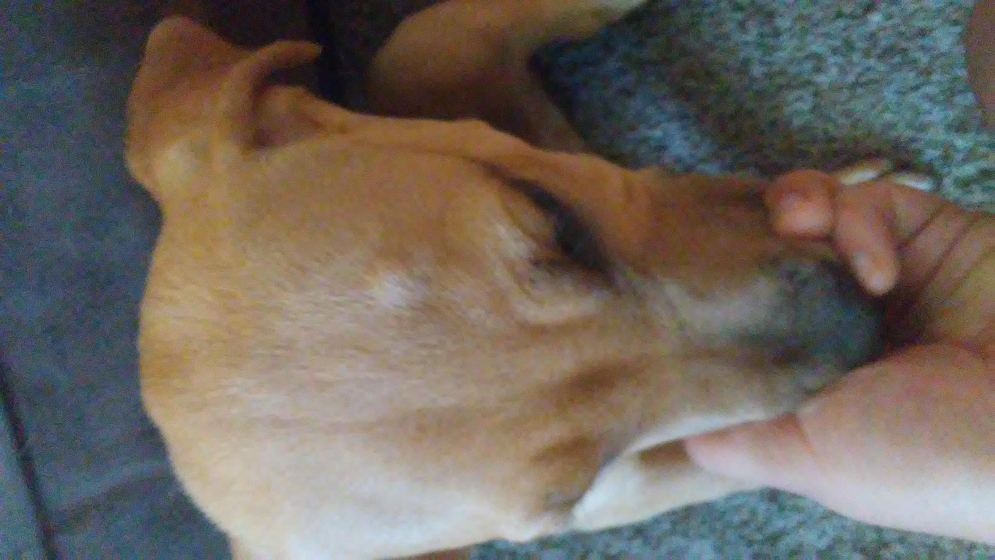 Question details sensitive content