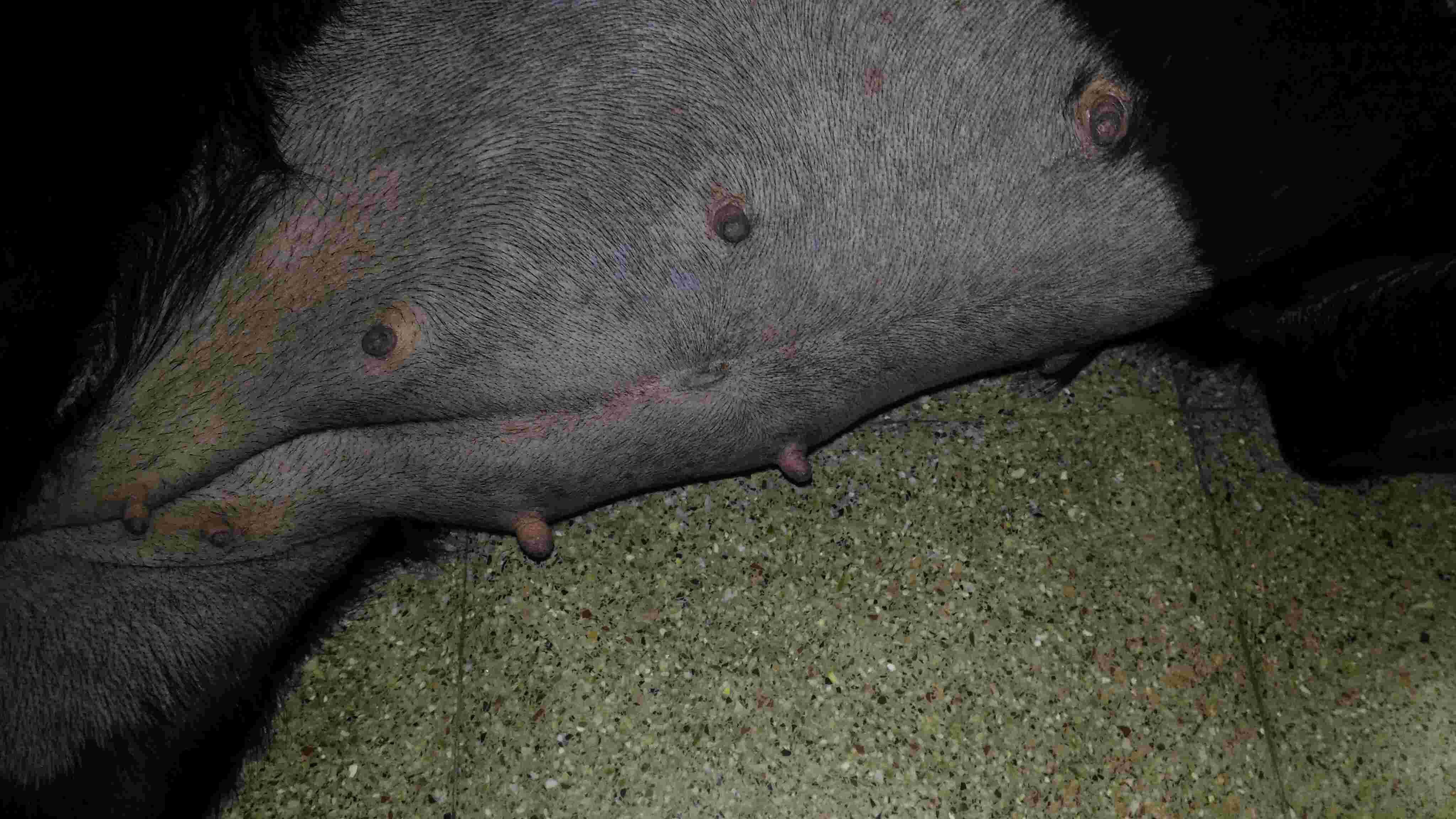 Question details sensitive content