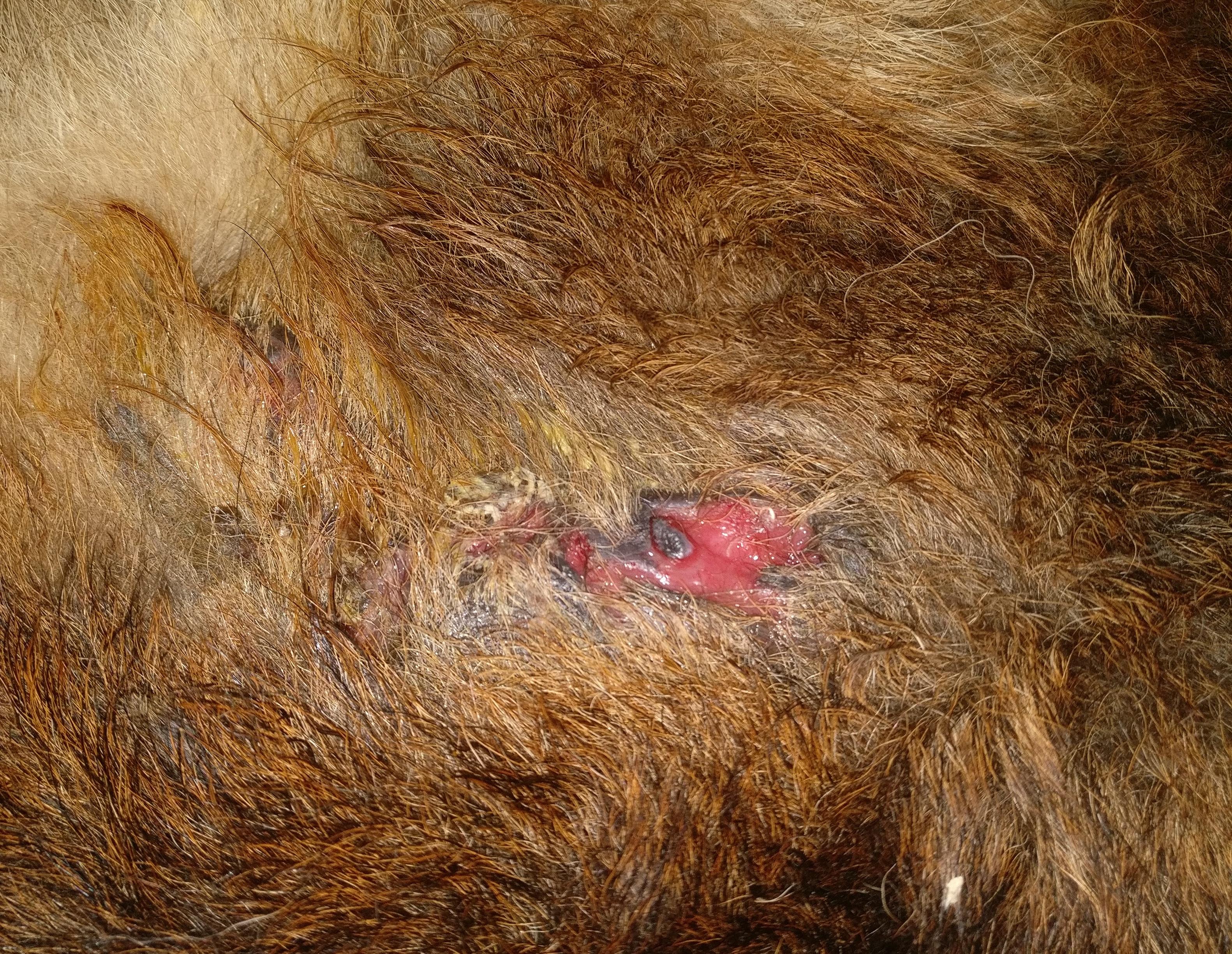 Question details sensitive content