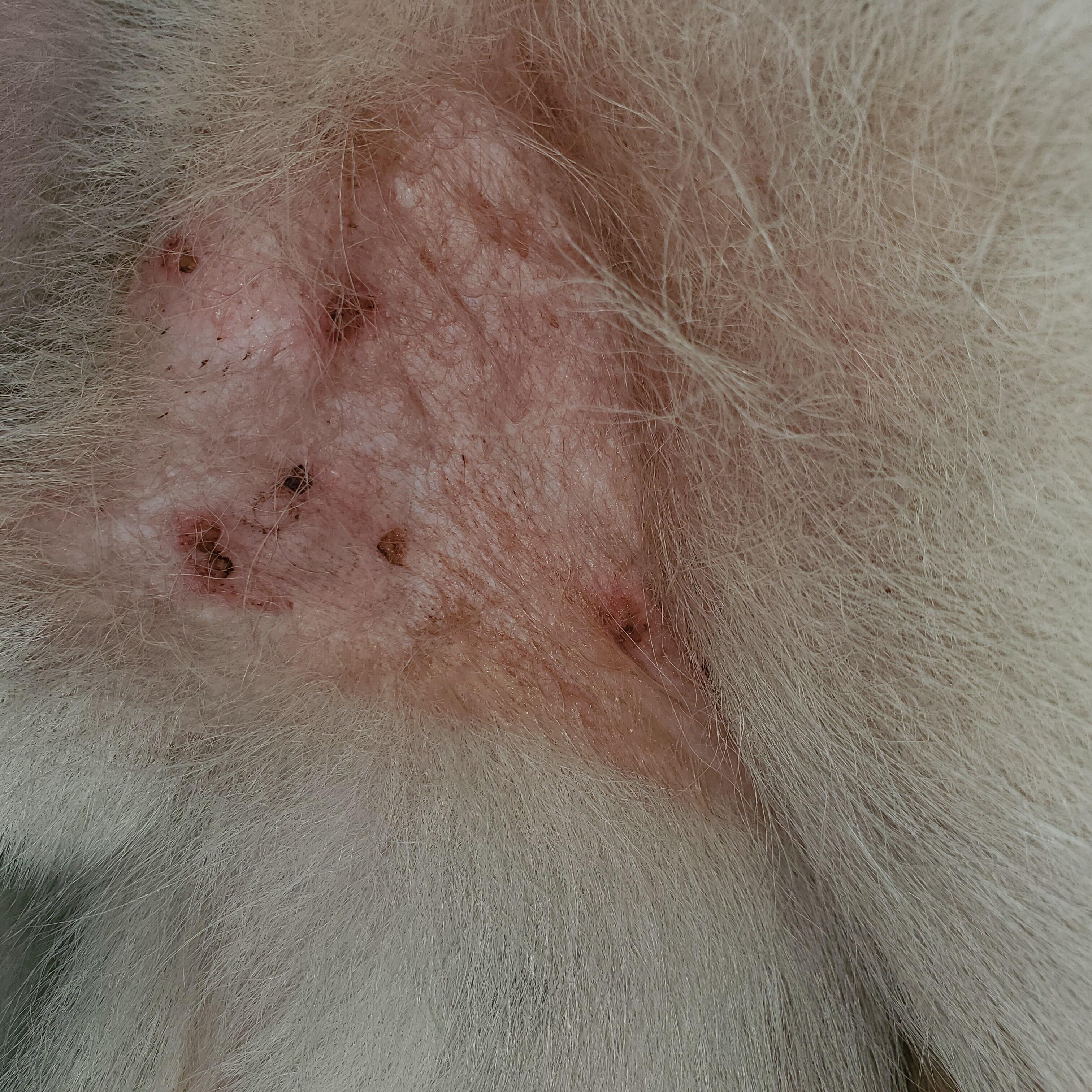 Question details sensitive content