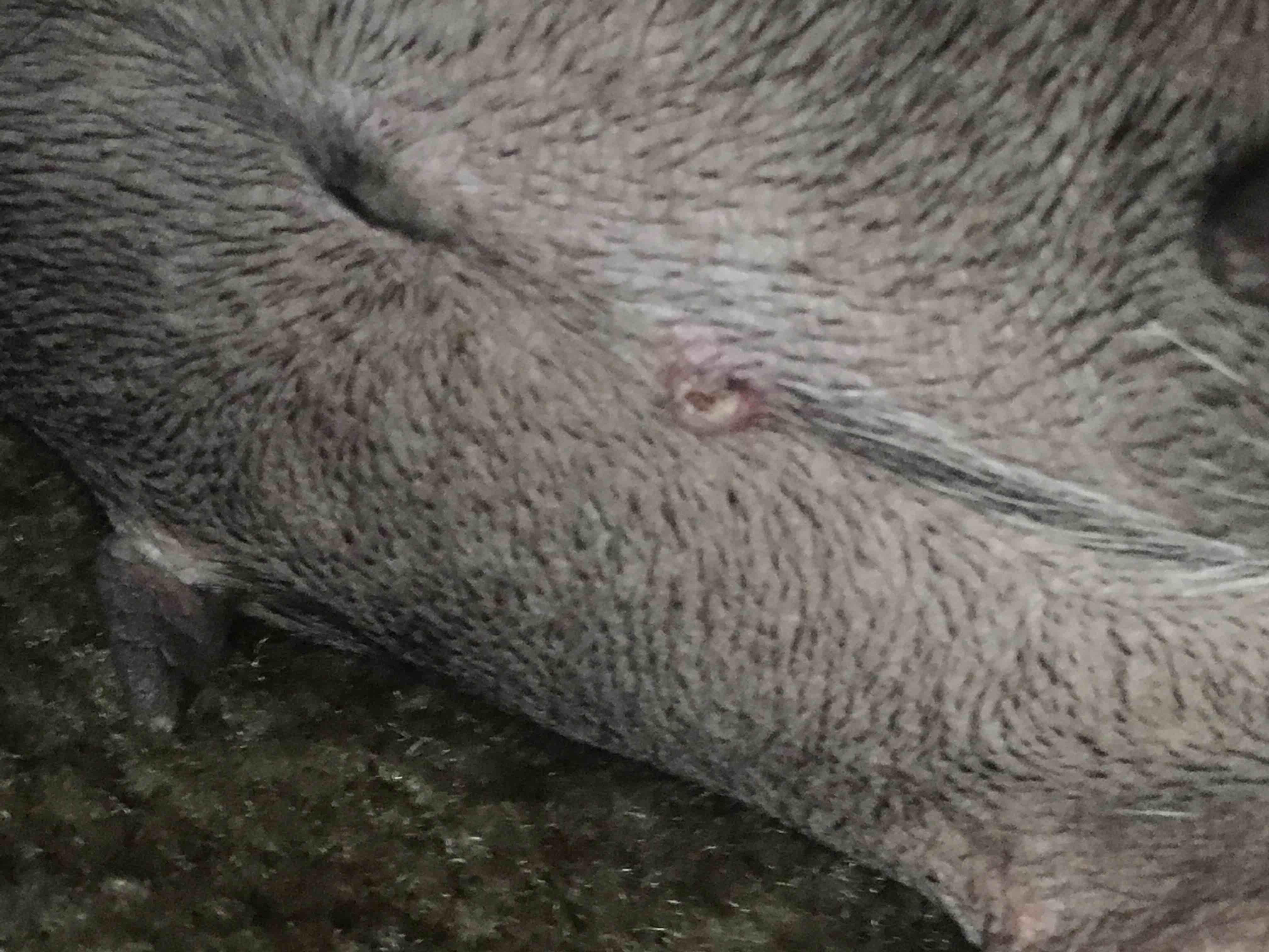 Question details sensitive content