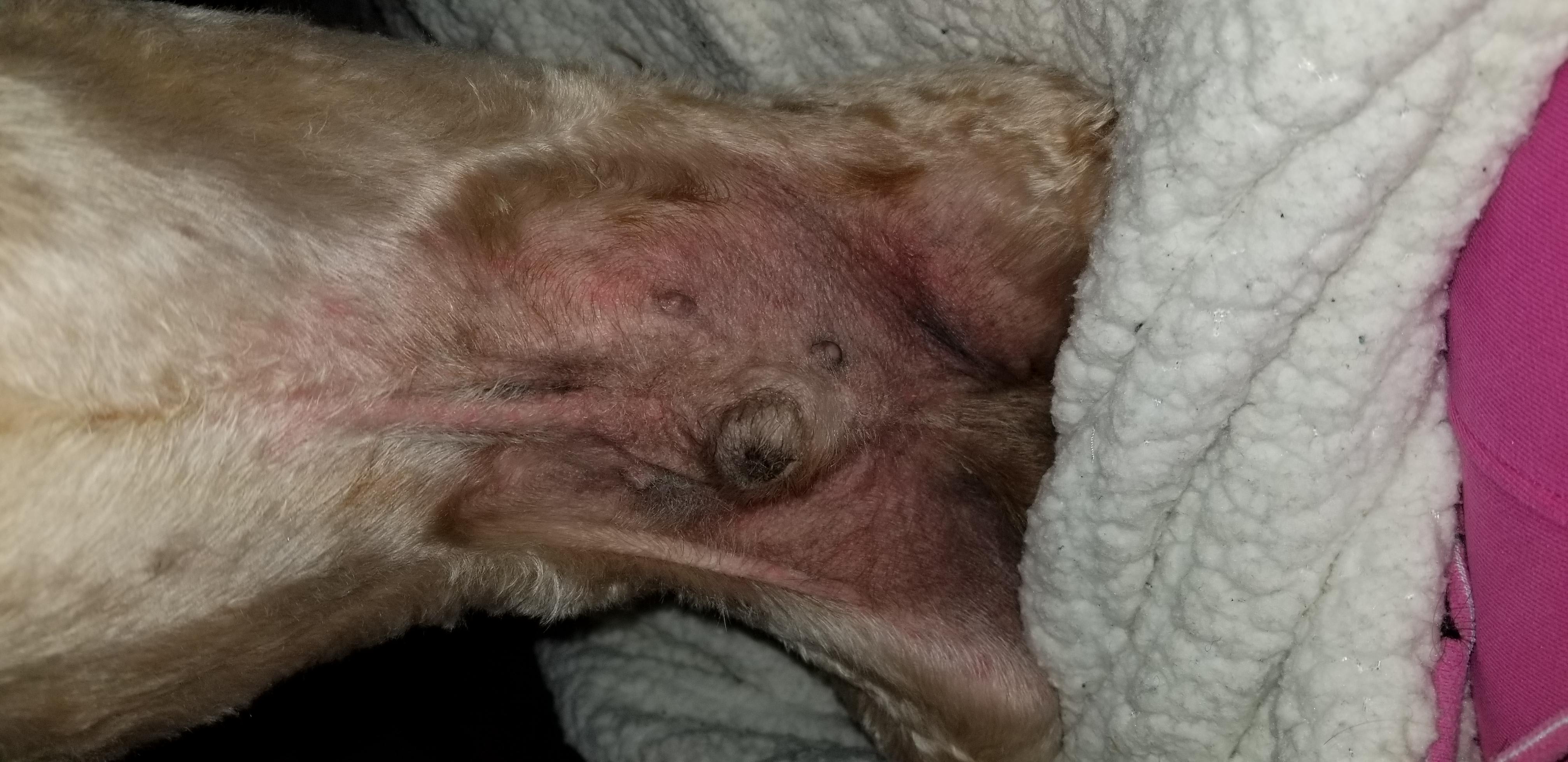 Question details sensitive content