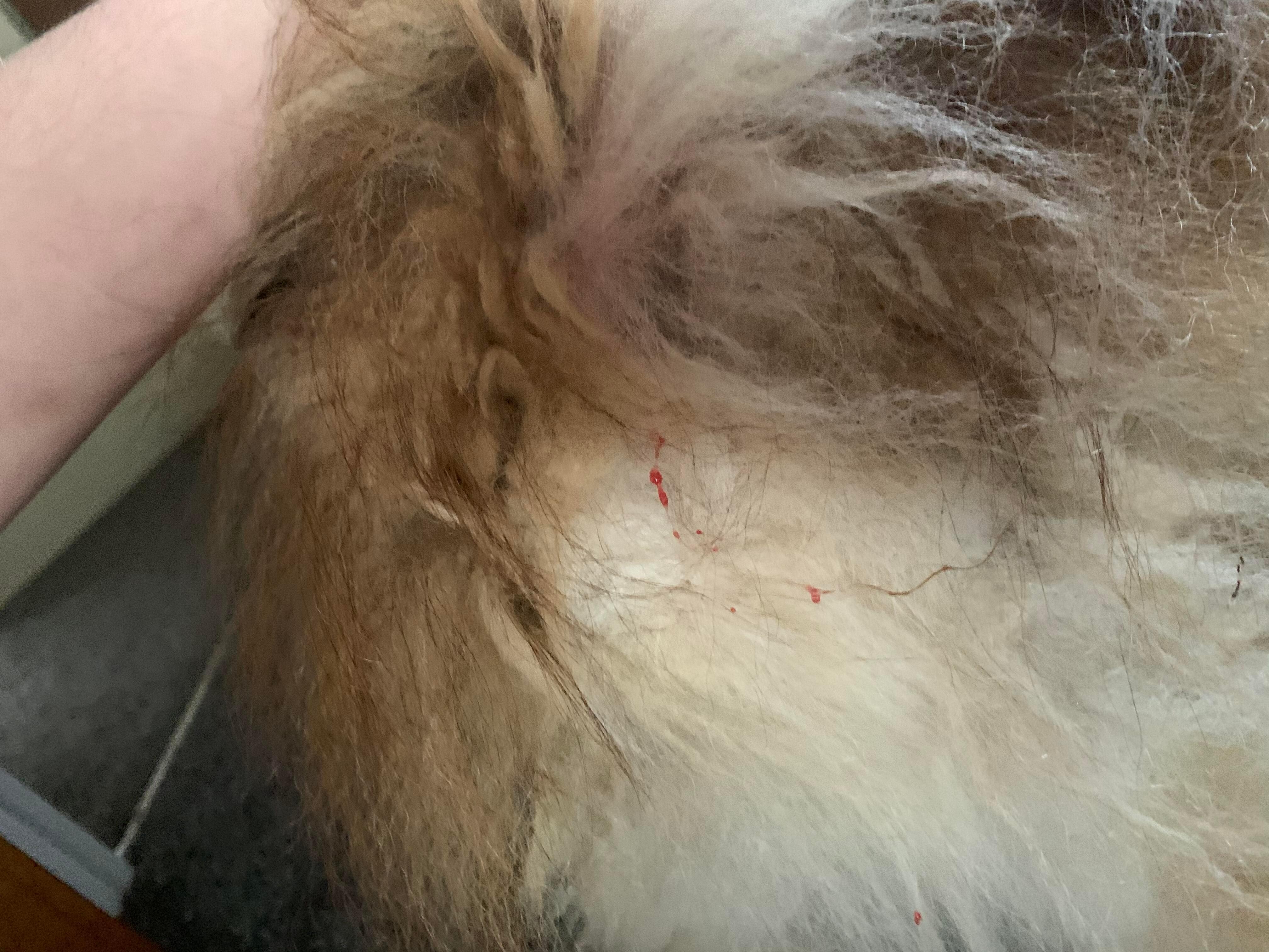 Question details sensitive content