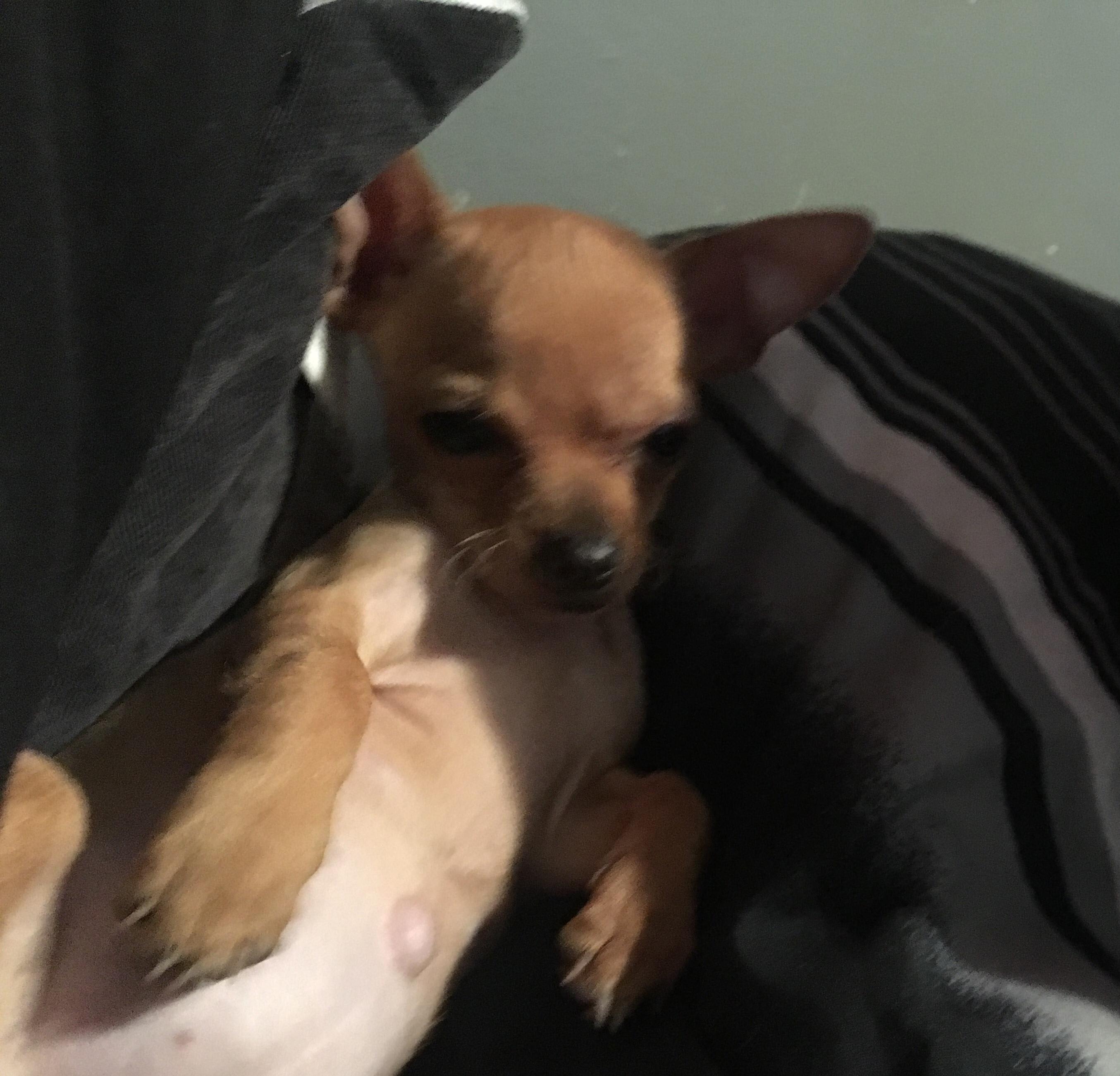 Question details sensitive content