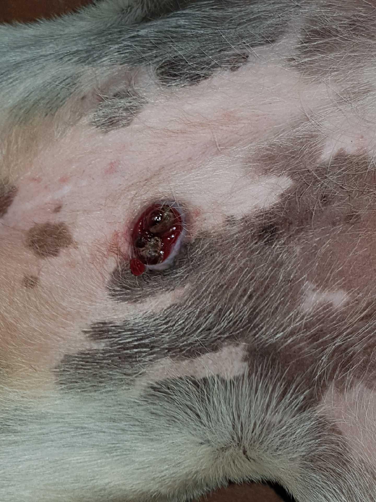 Question details sensitive content