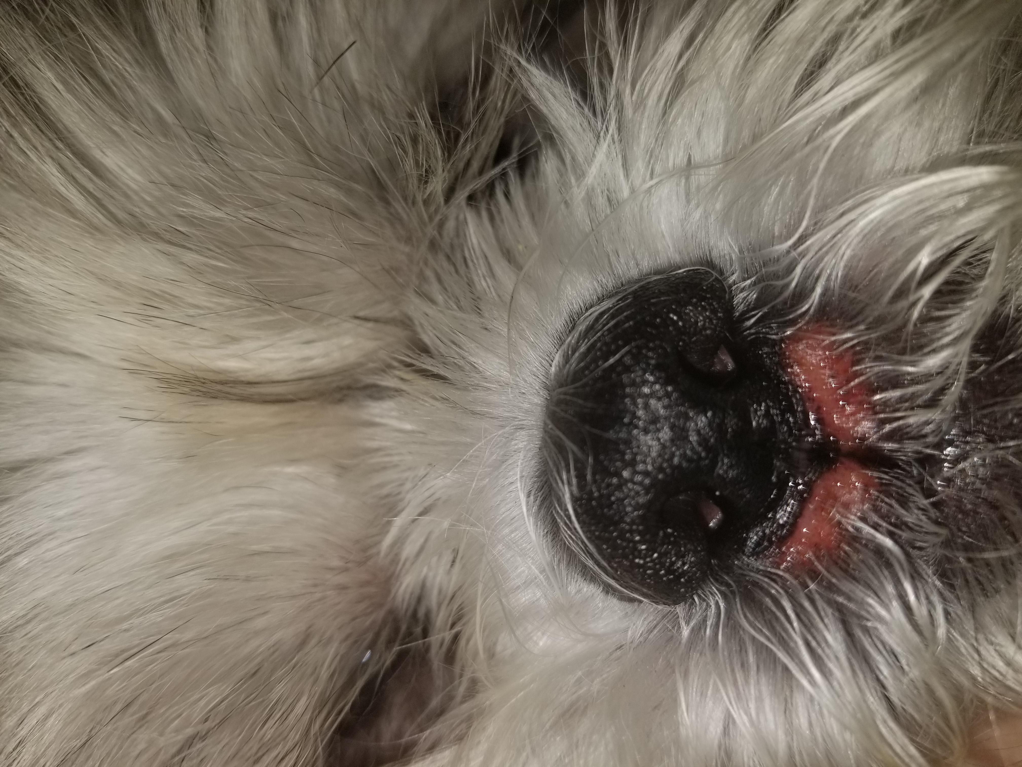 Question details sensitive content