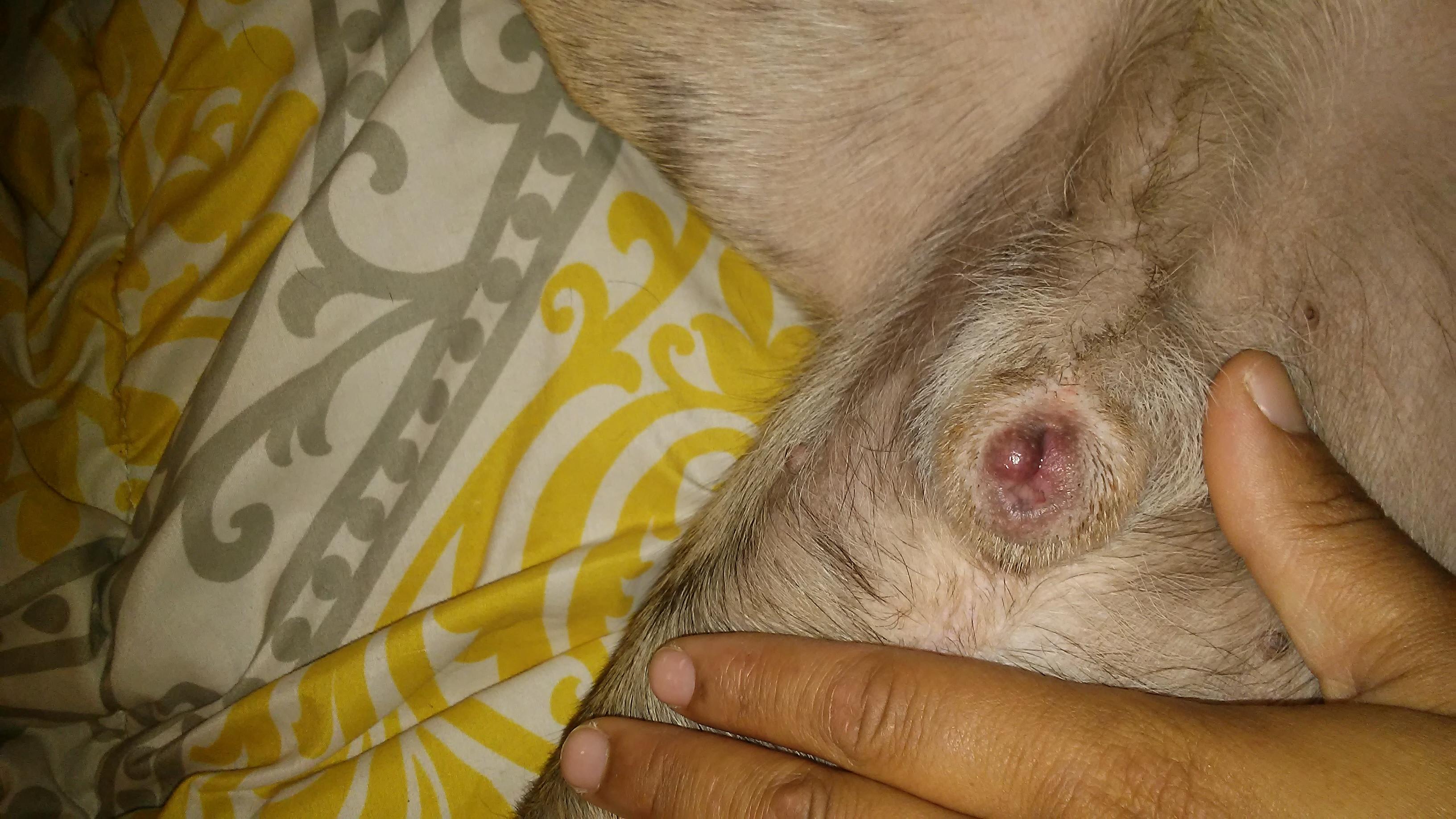 Question details sensitive content