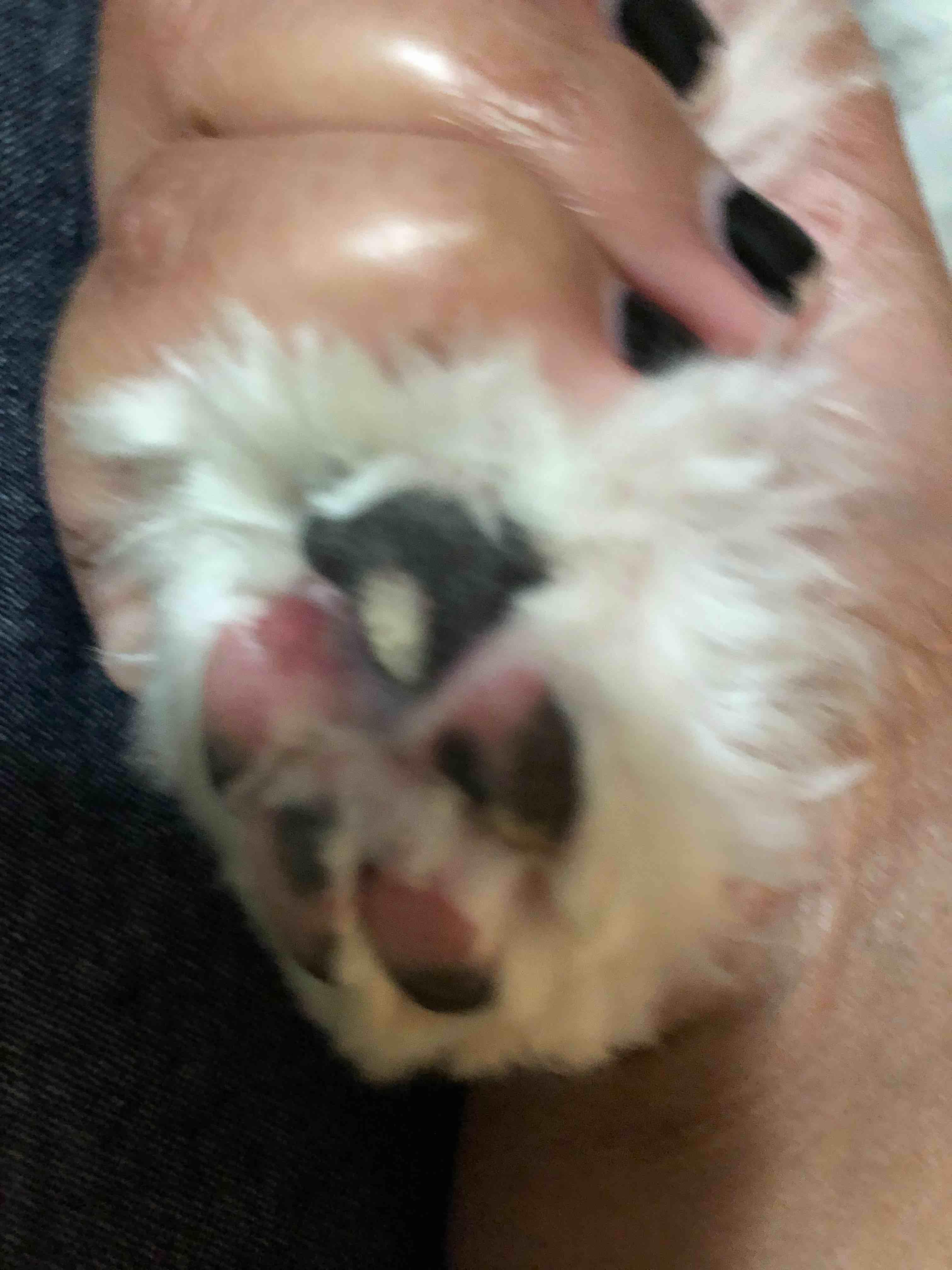 Question details sensitive content