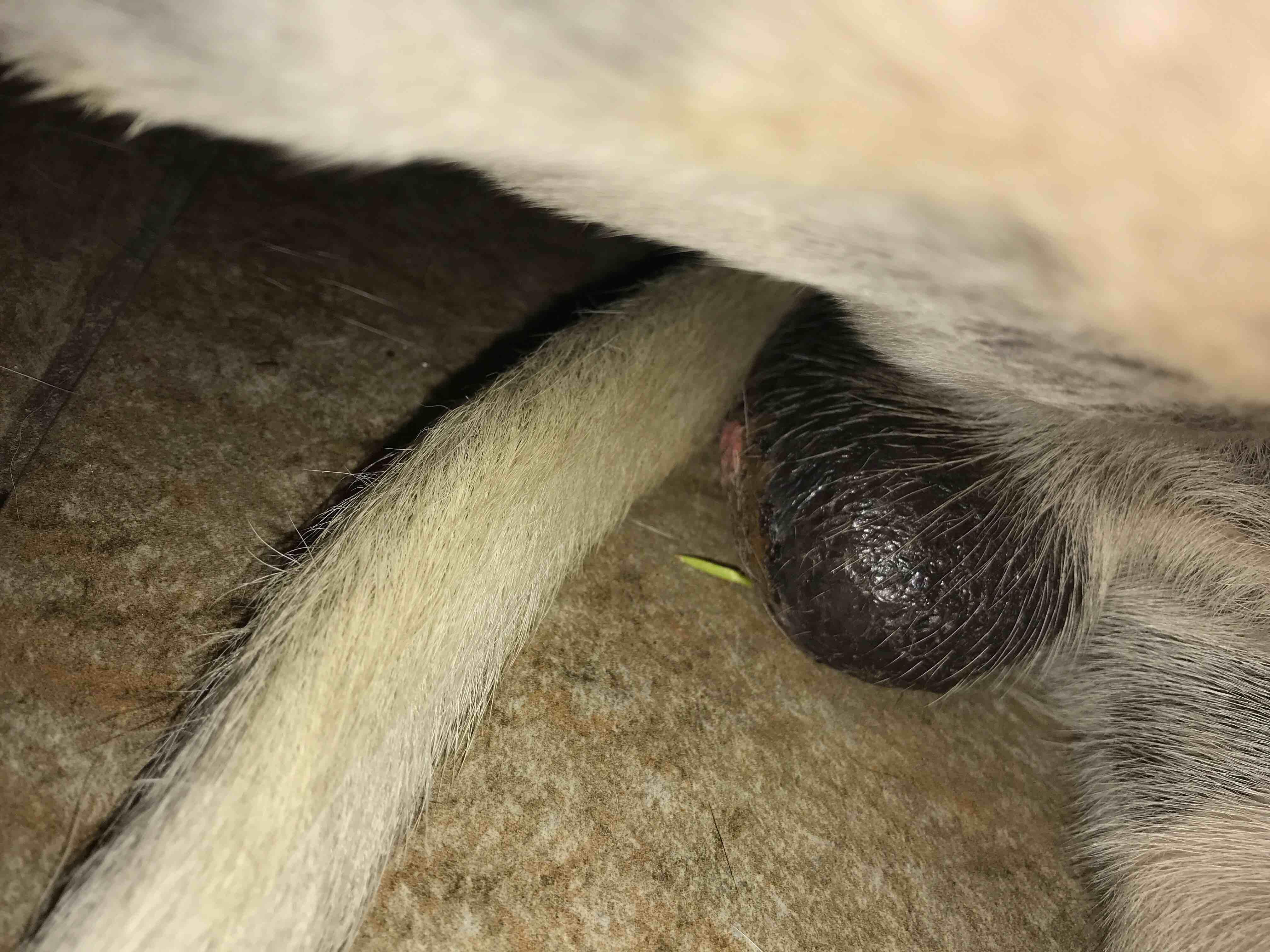 Question details sensitive content