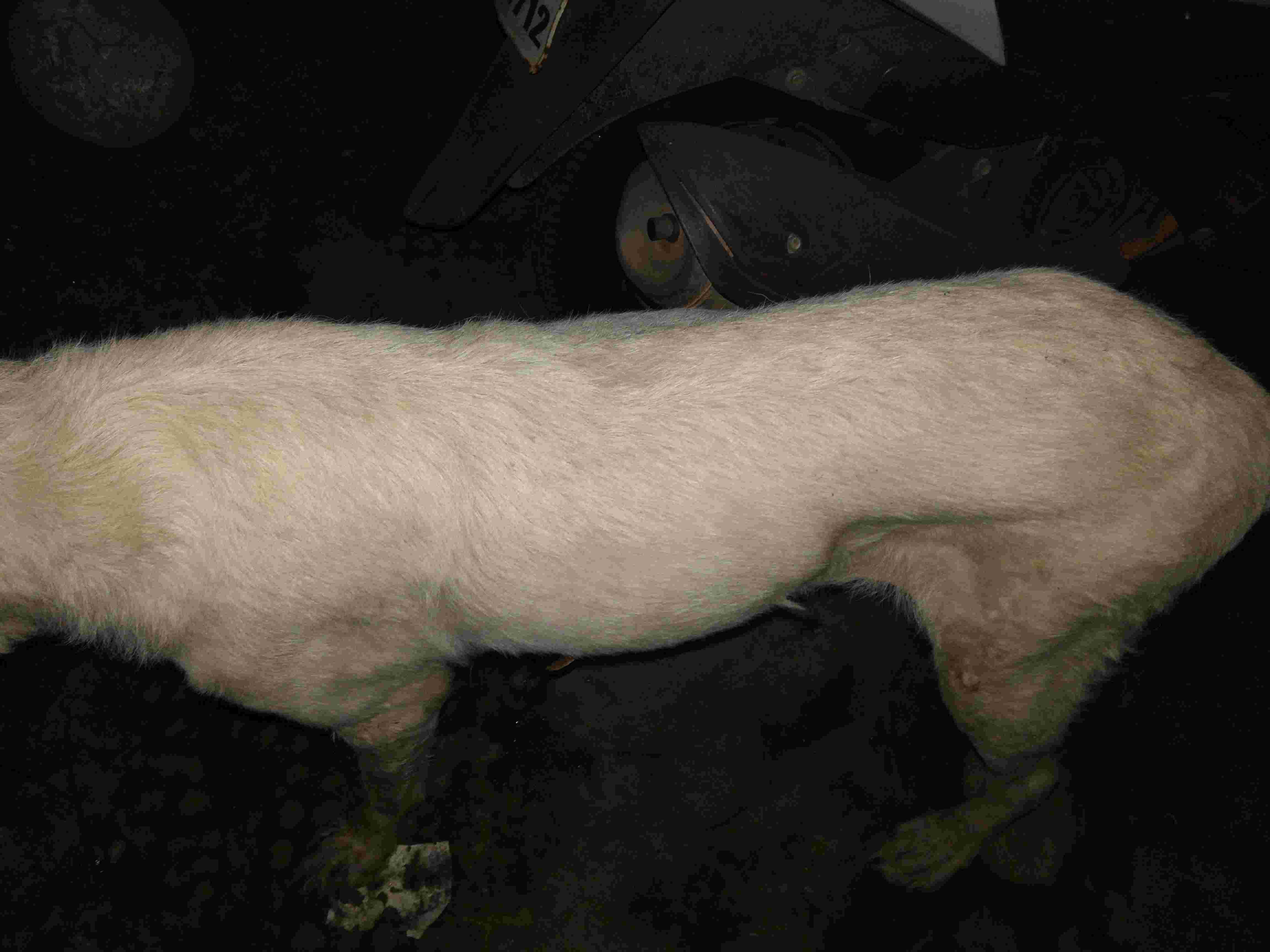 Question details sensitive content