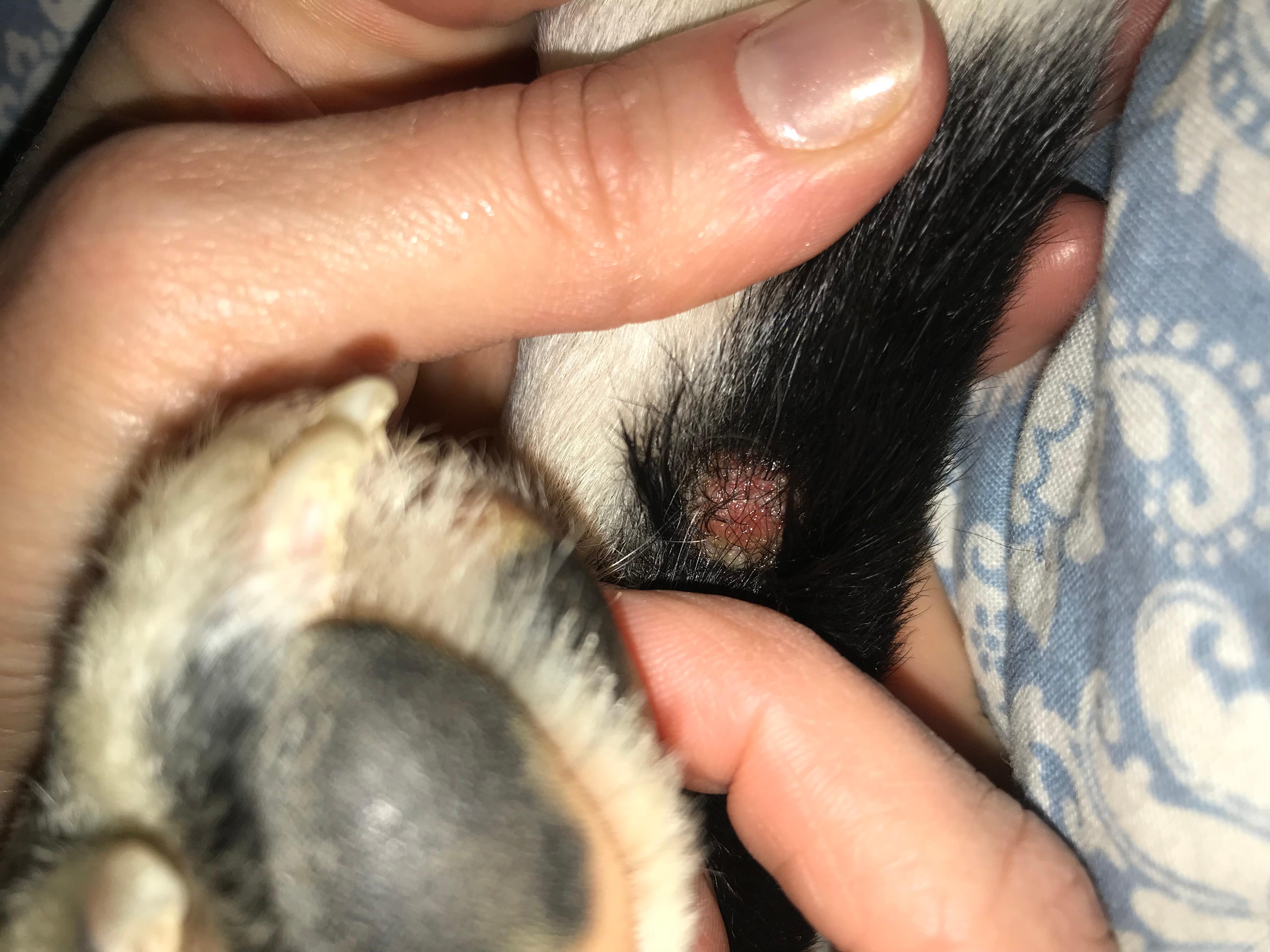 Question details sensitive content