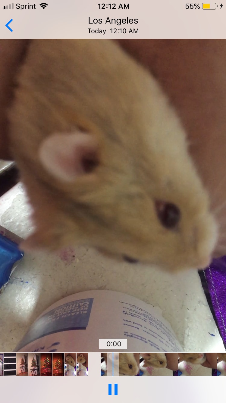 Question details sensitive content