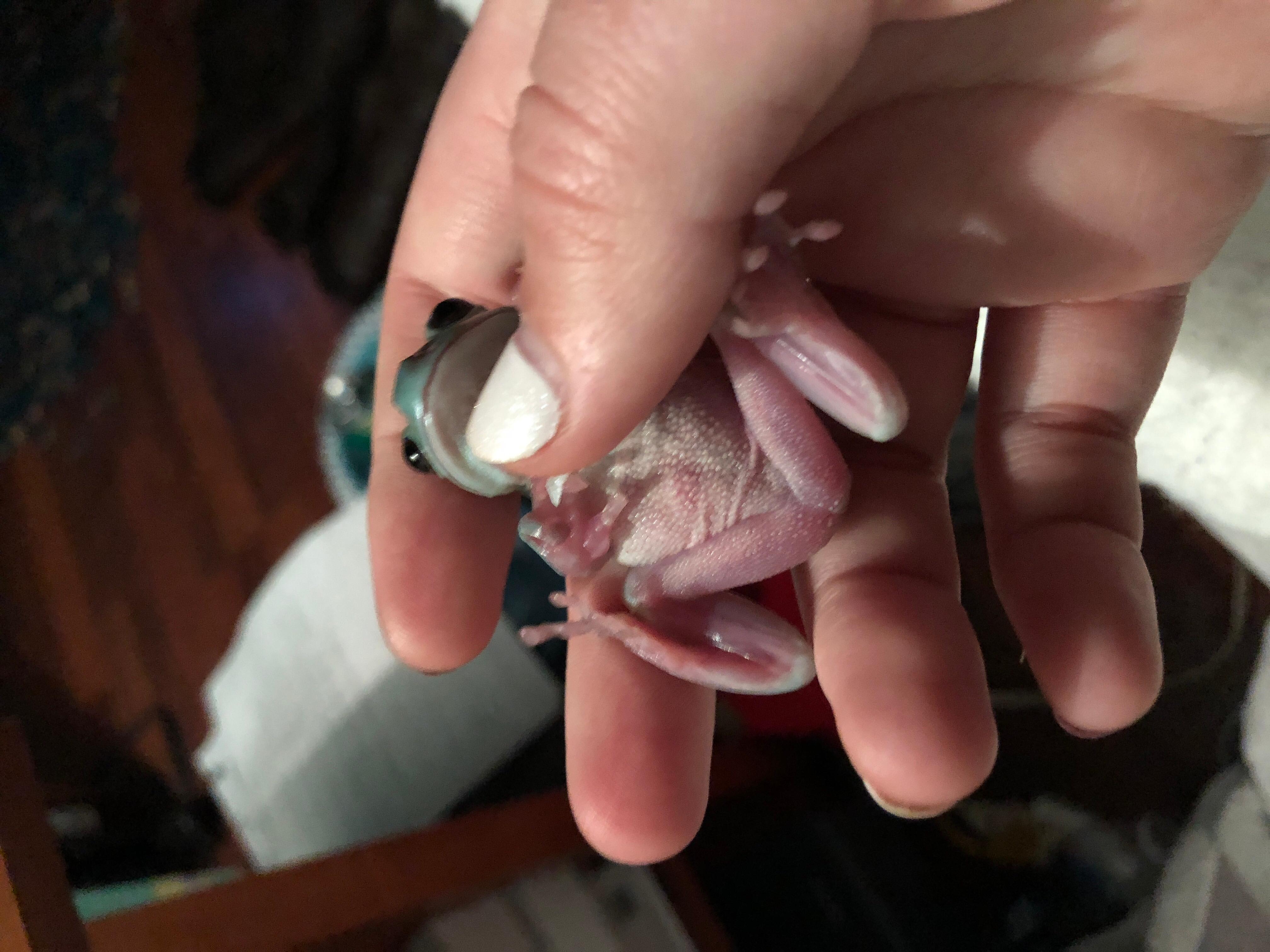 Question details sensitive content