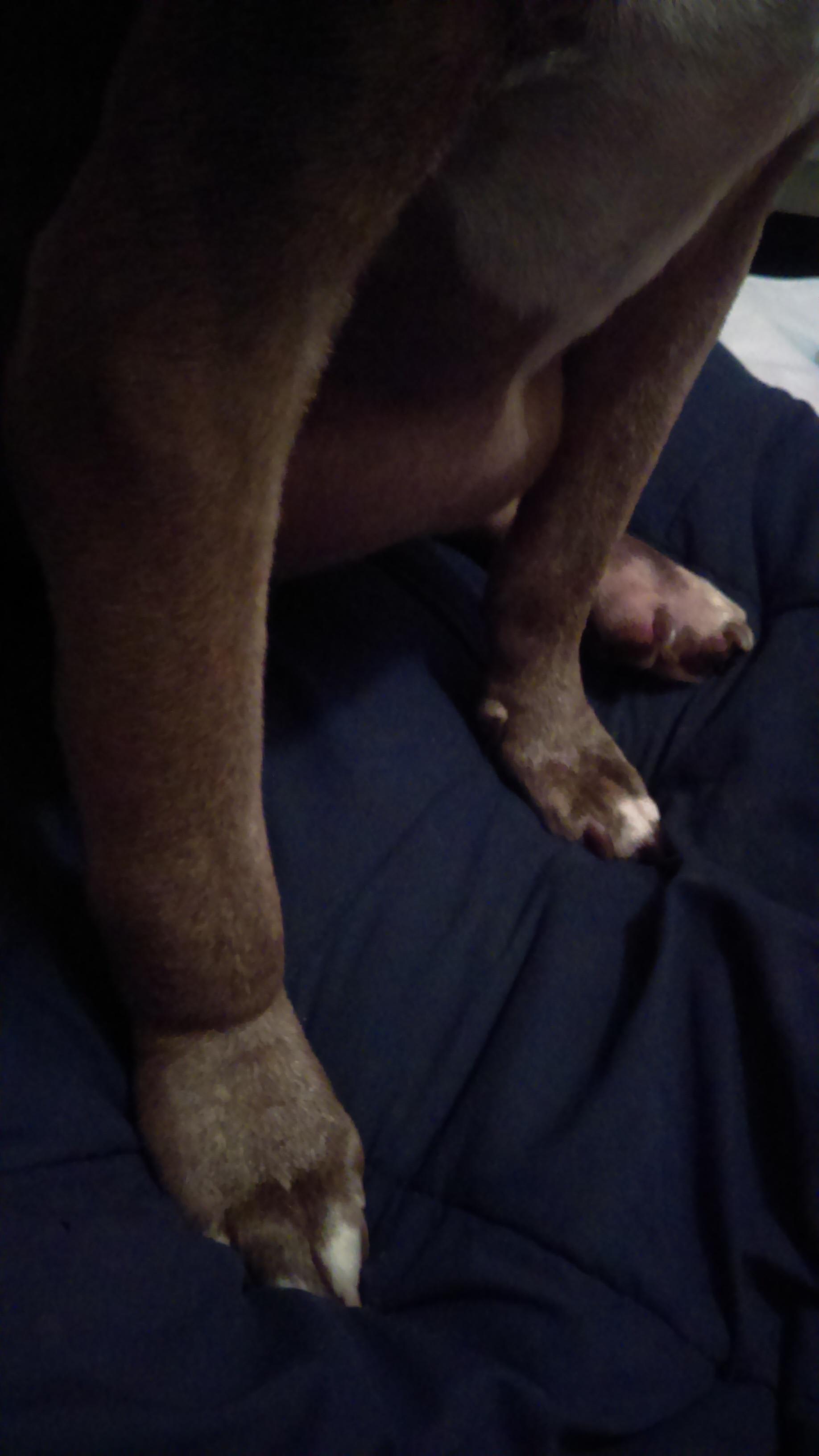 Question details sensitive content