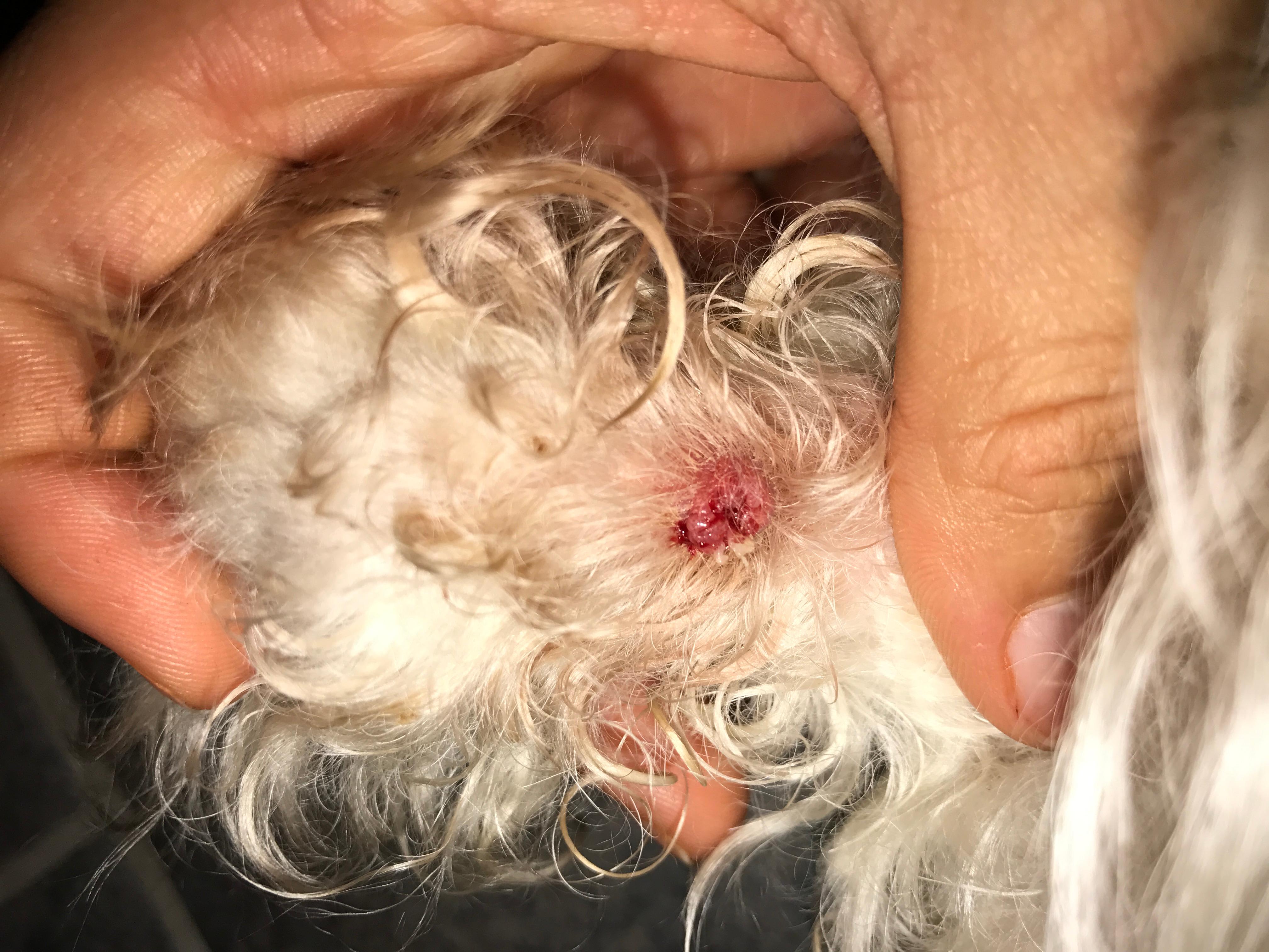 Question details sensitive content