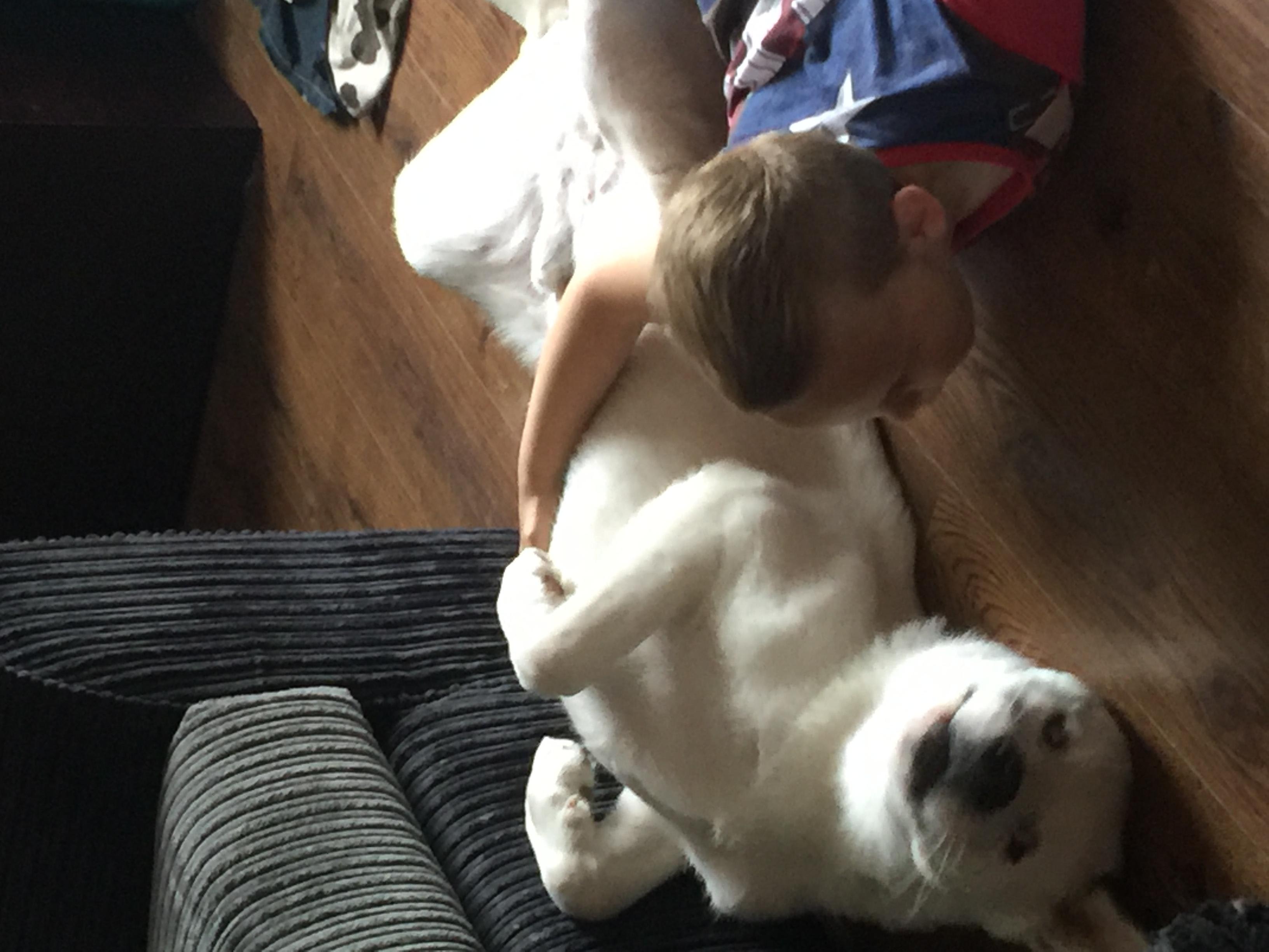 Question details sensitive content