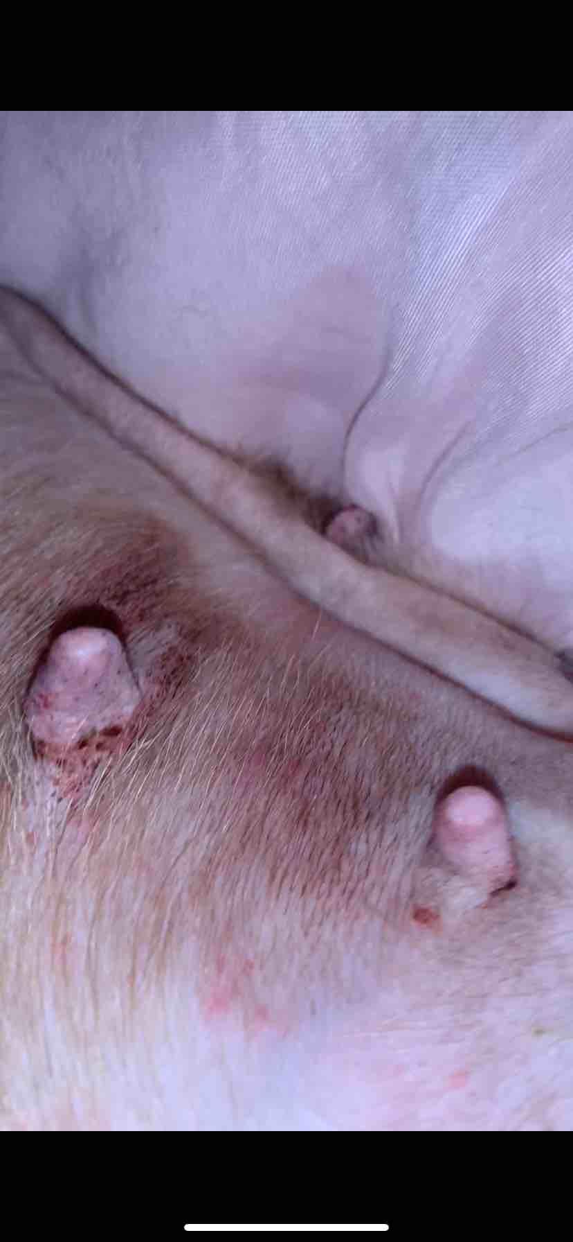 Question details sensitive content