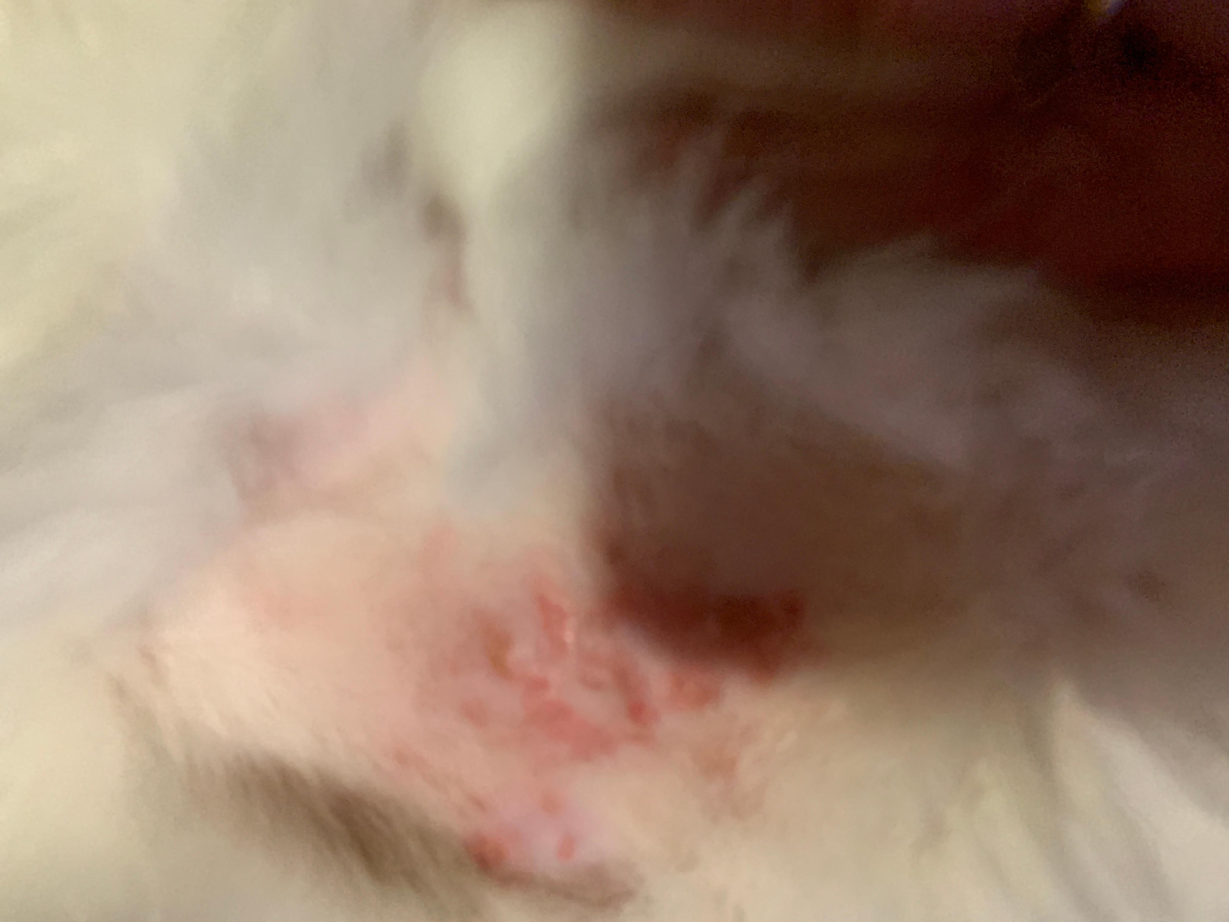 Question details sensitive content