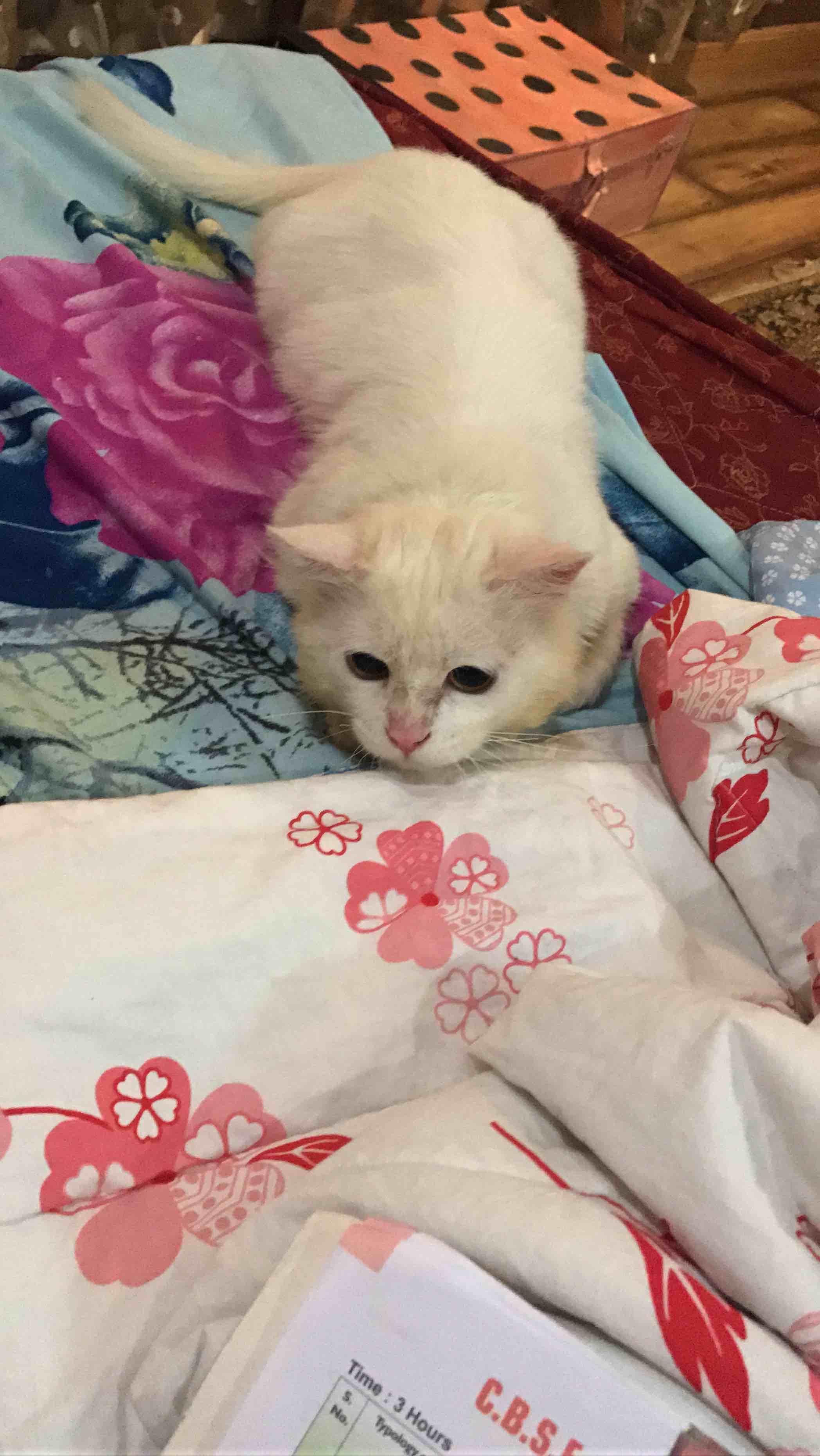 Question details sensitive content