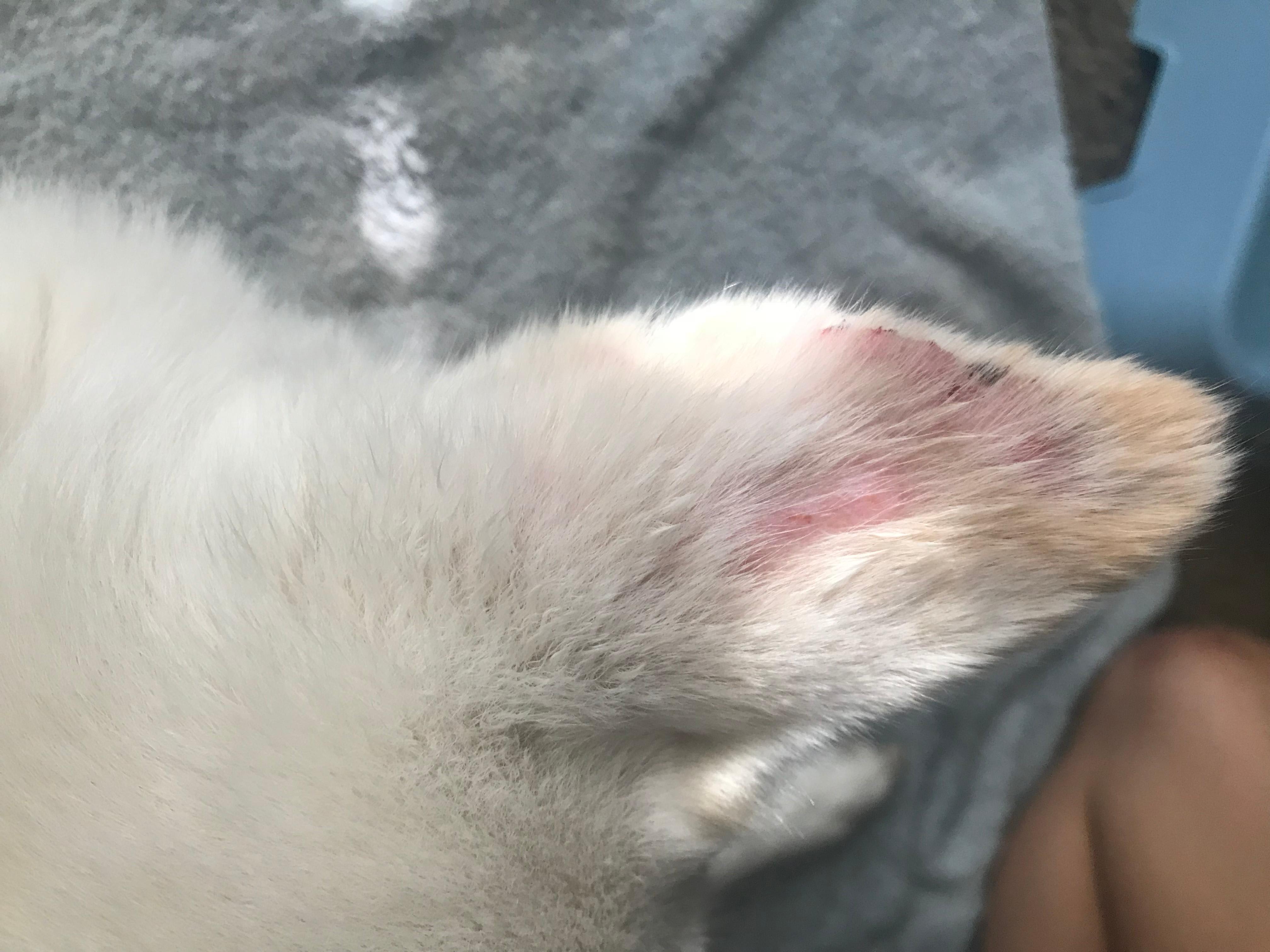 Question details sensitive content