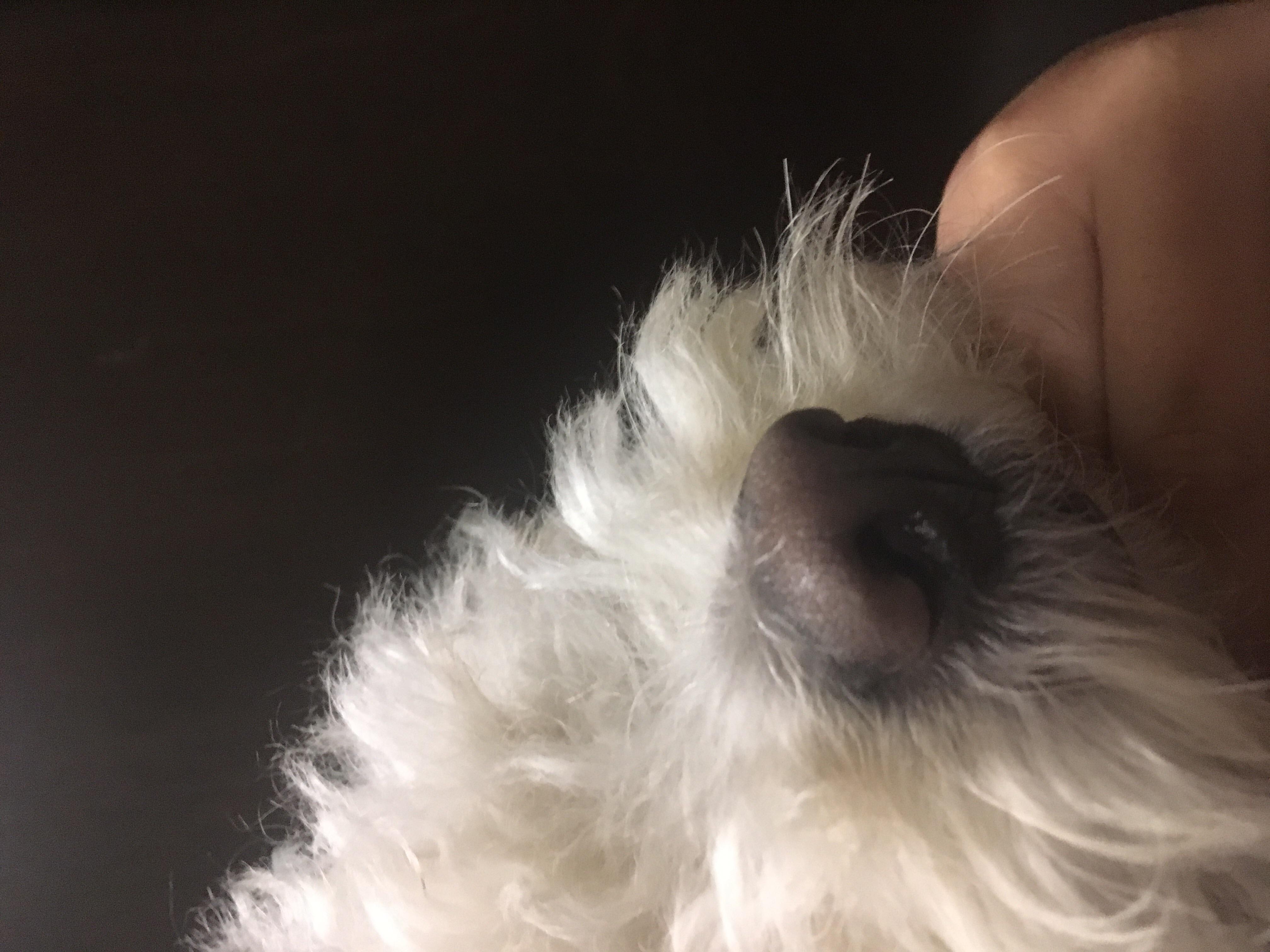 Question details sensitive content