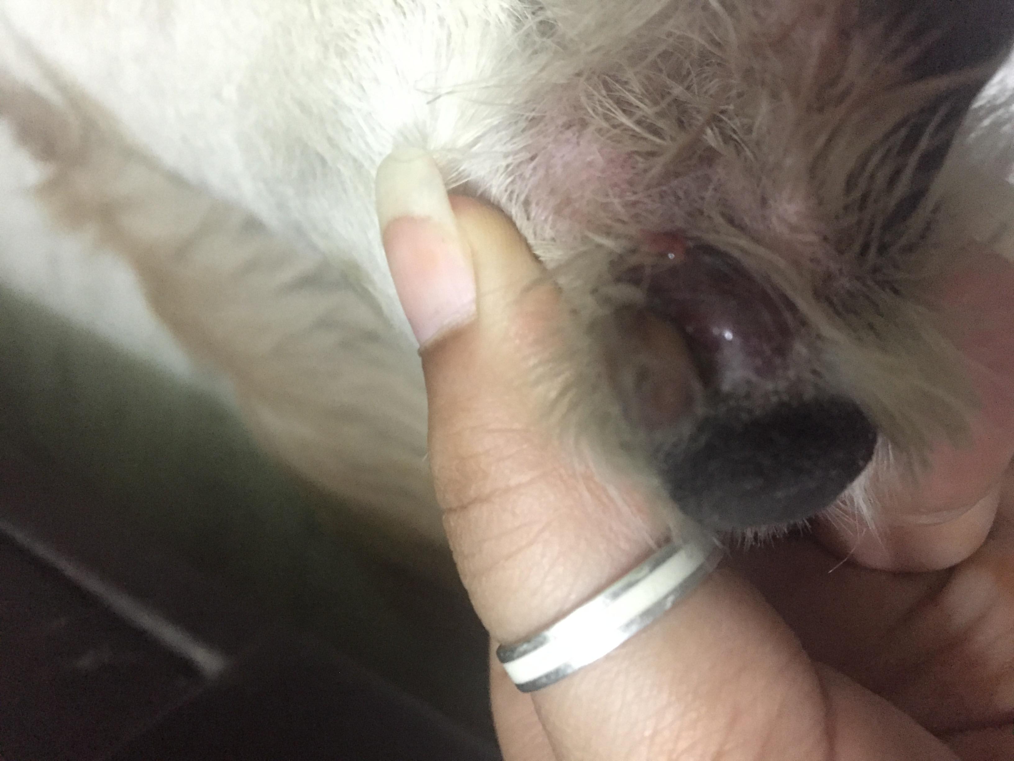 Question details sensitive content