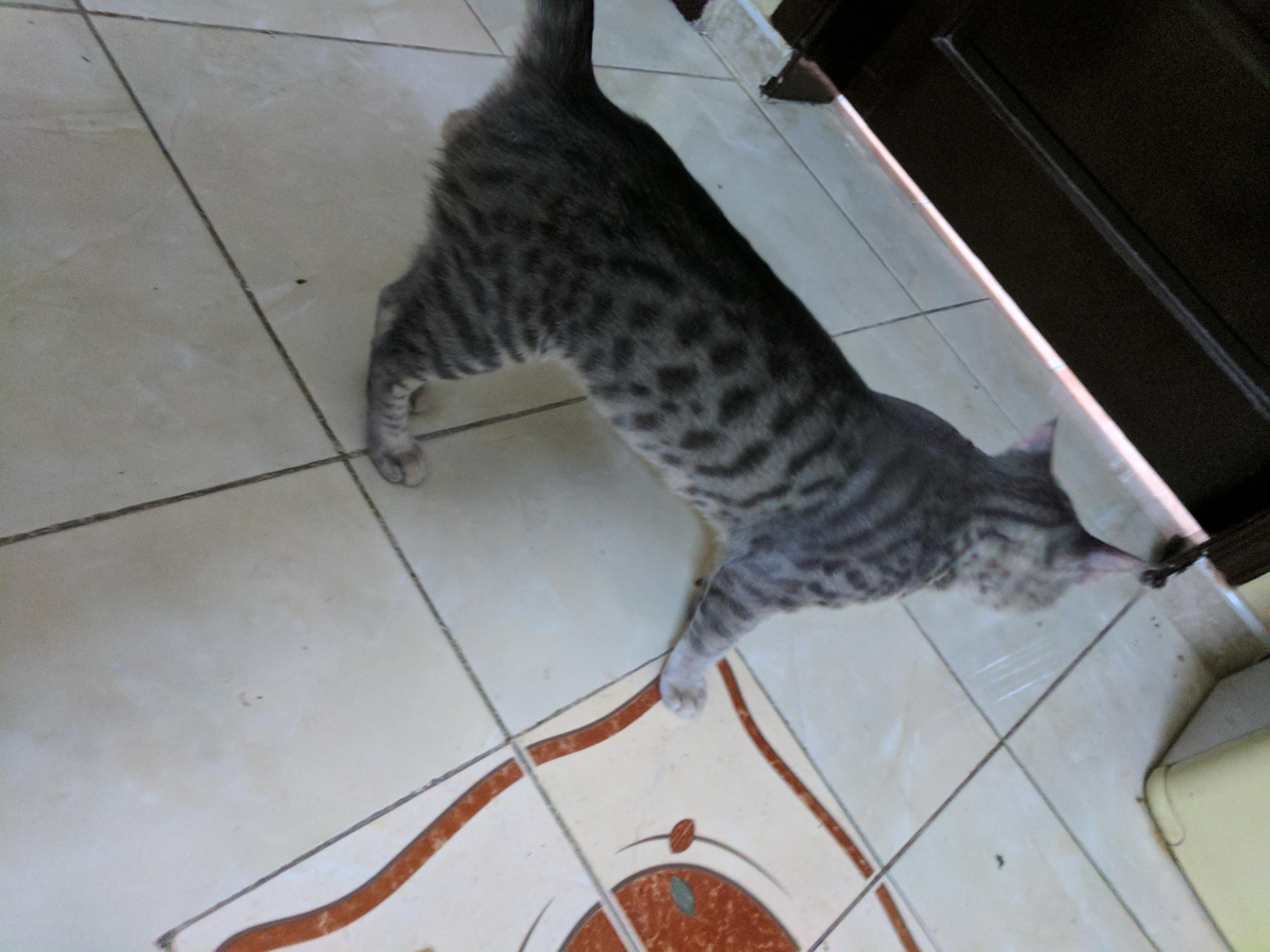 Question details sensitive content