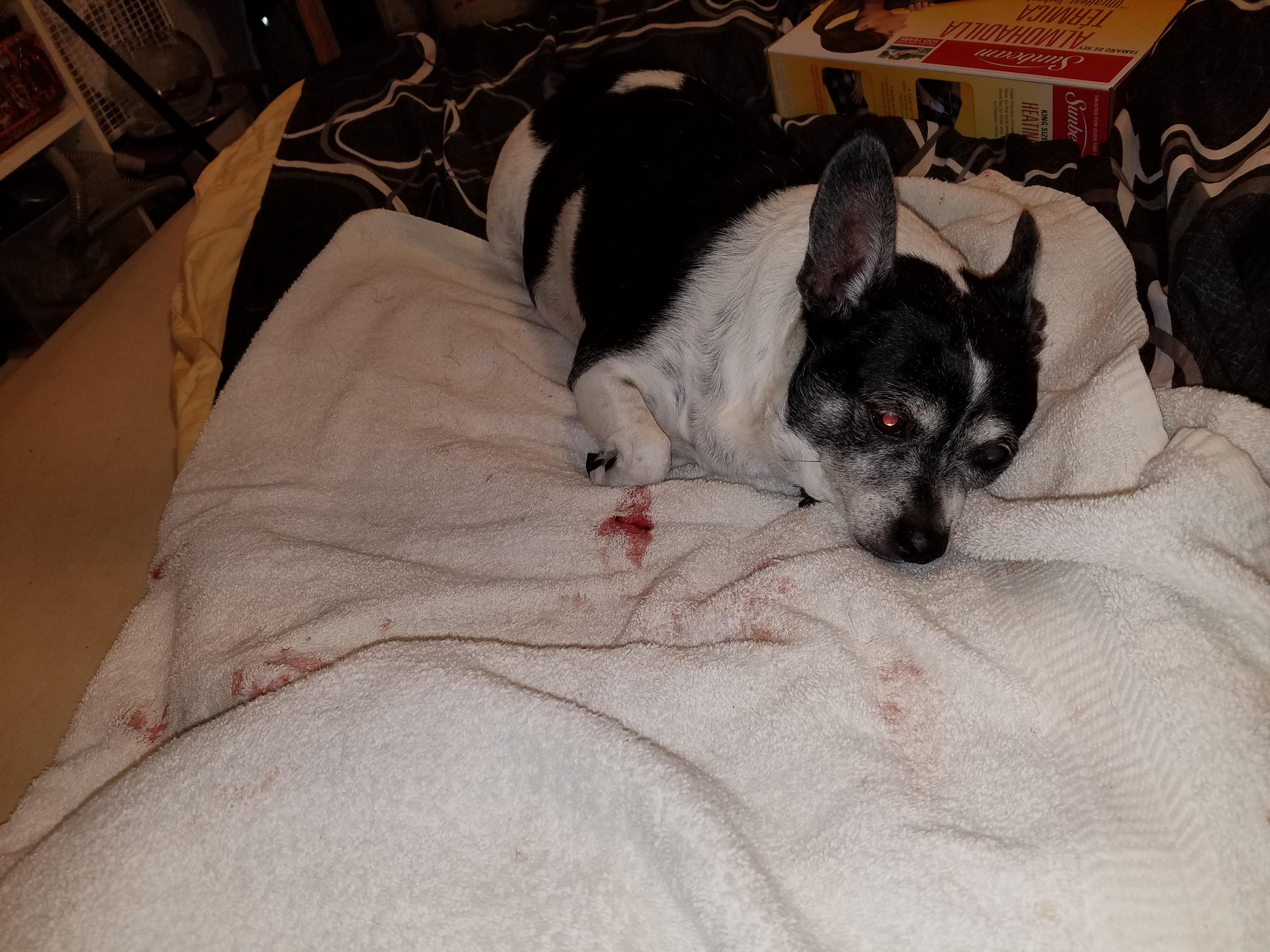 Question details sensitive content