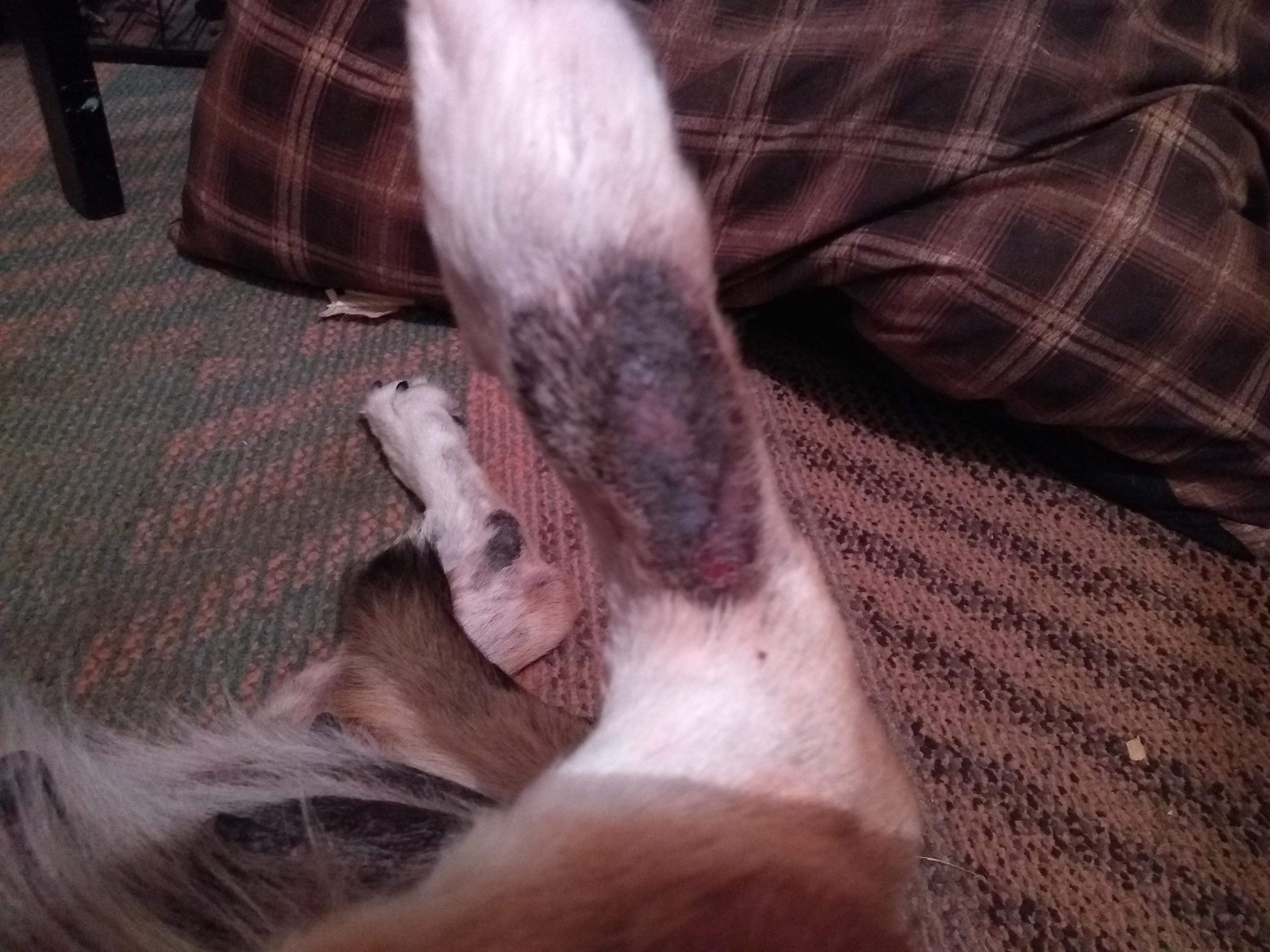 Question details sensitive content