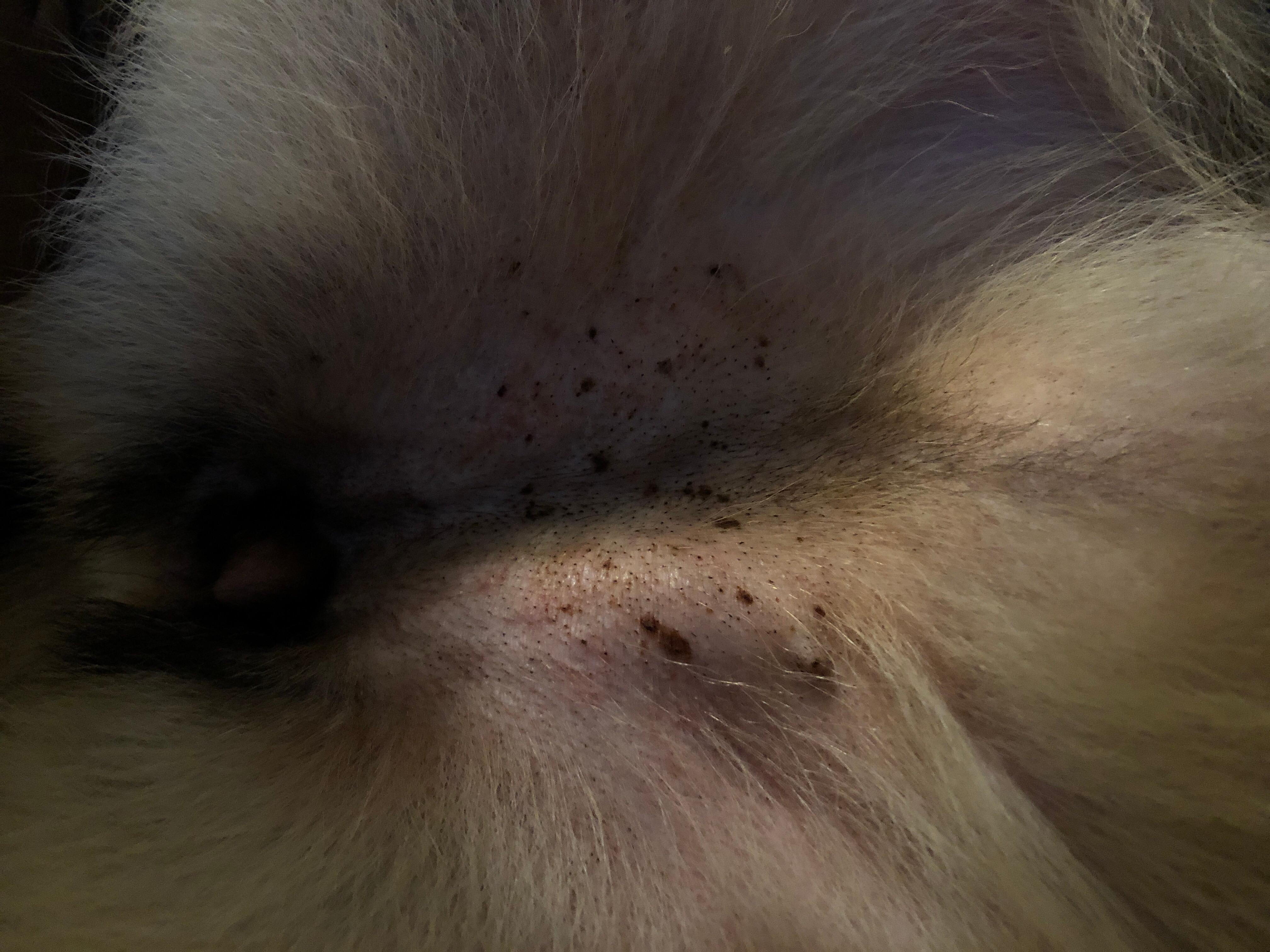 Question details sensitive content