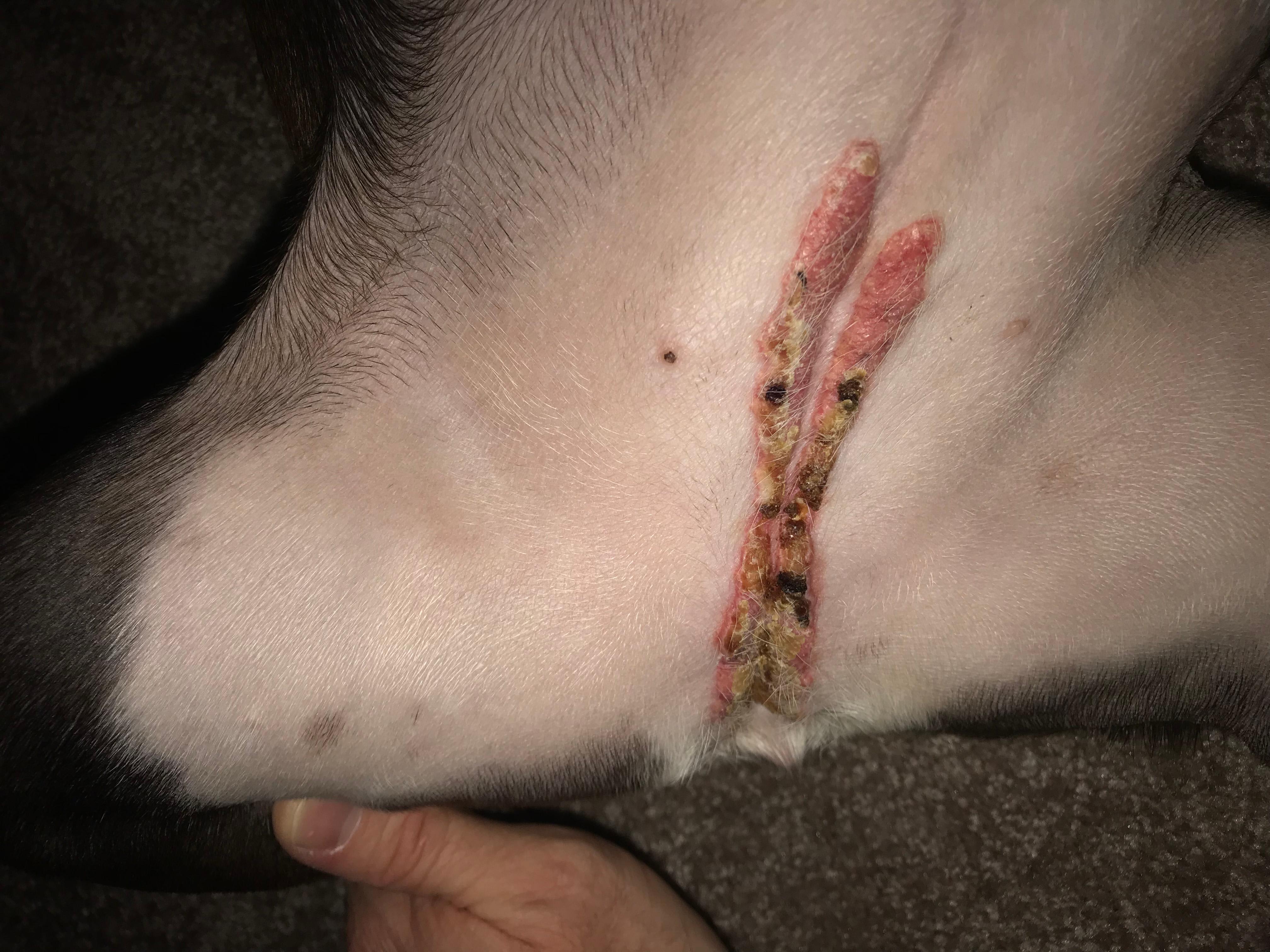 Question details sensitive content